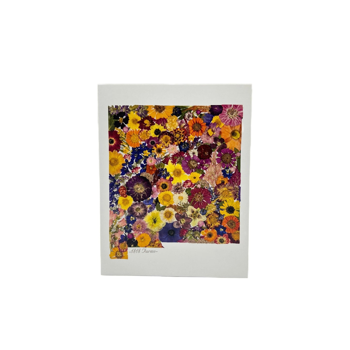 New Mexico Themed Notecards (Set of 6) - "Where I Bloom" Collection Notecard 1818 Farms