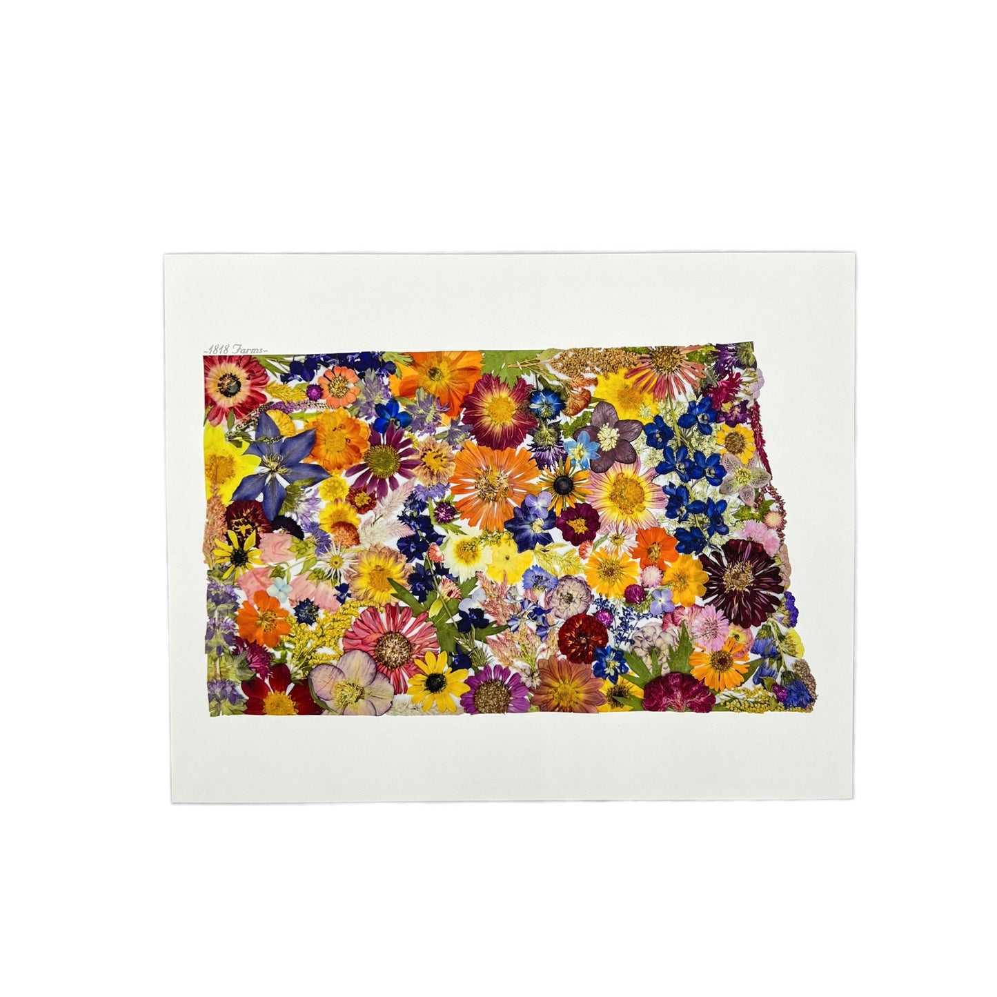 State Themed Giclée Print 11" x "14 - "Where I Bloom" Collection Giclee Art Print 1818 Farms North Dakota
