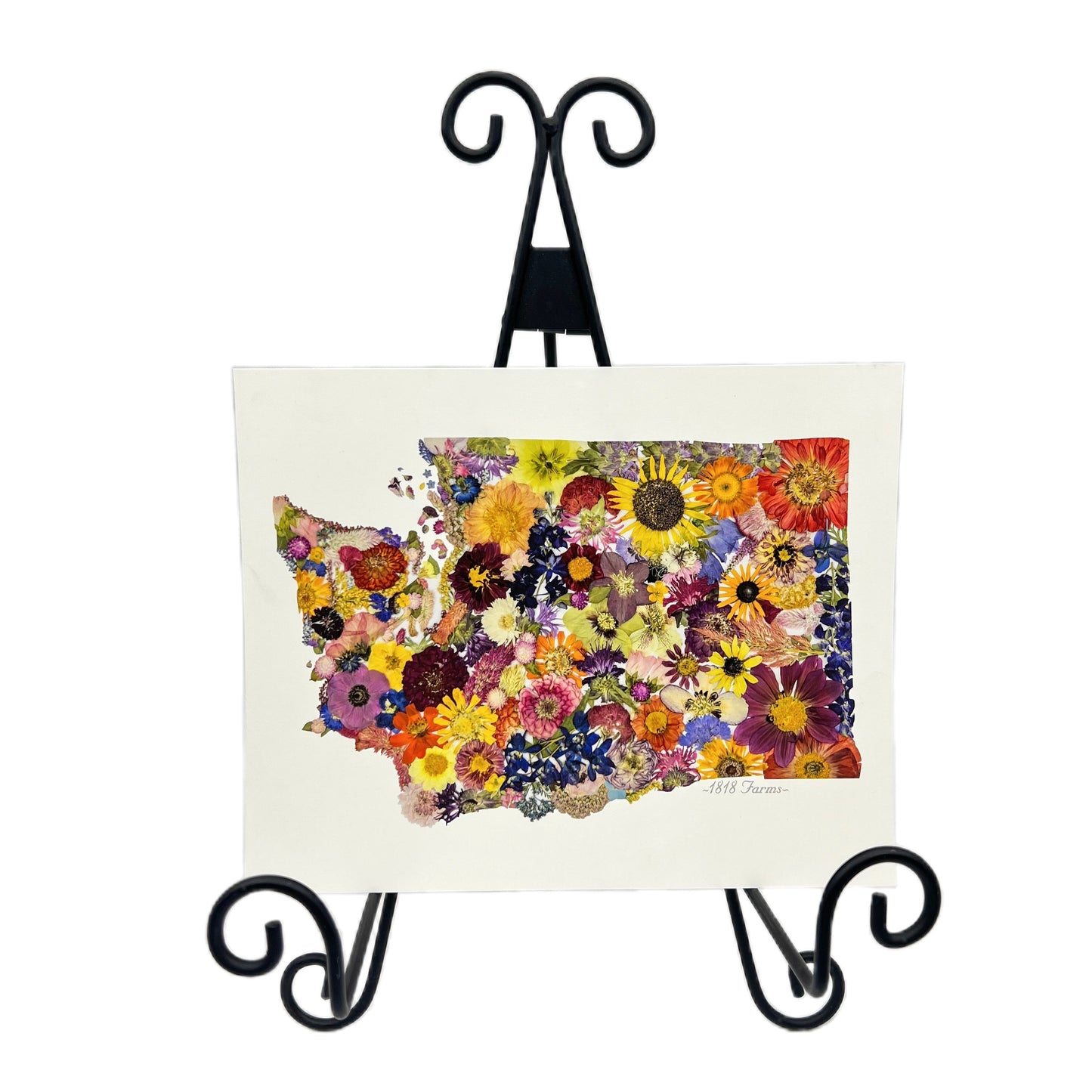 Washington Themed Giclée Print - "Where I Bloom" Collection Giclee Art Print 1818 Farms