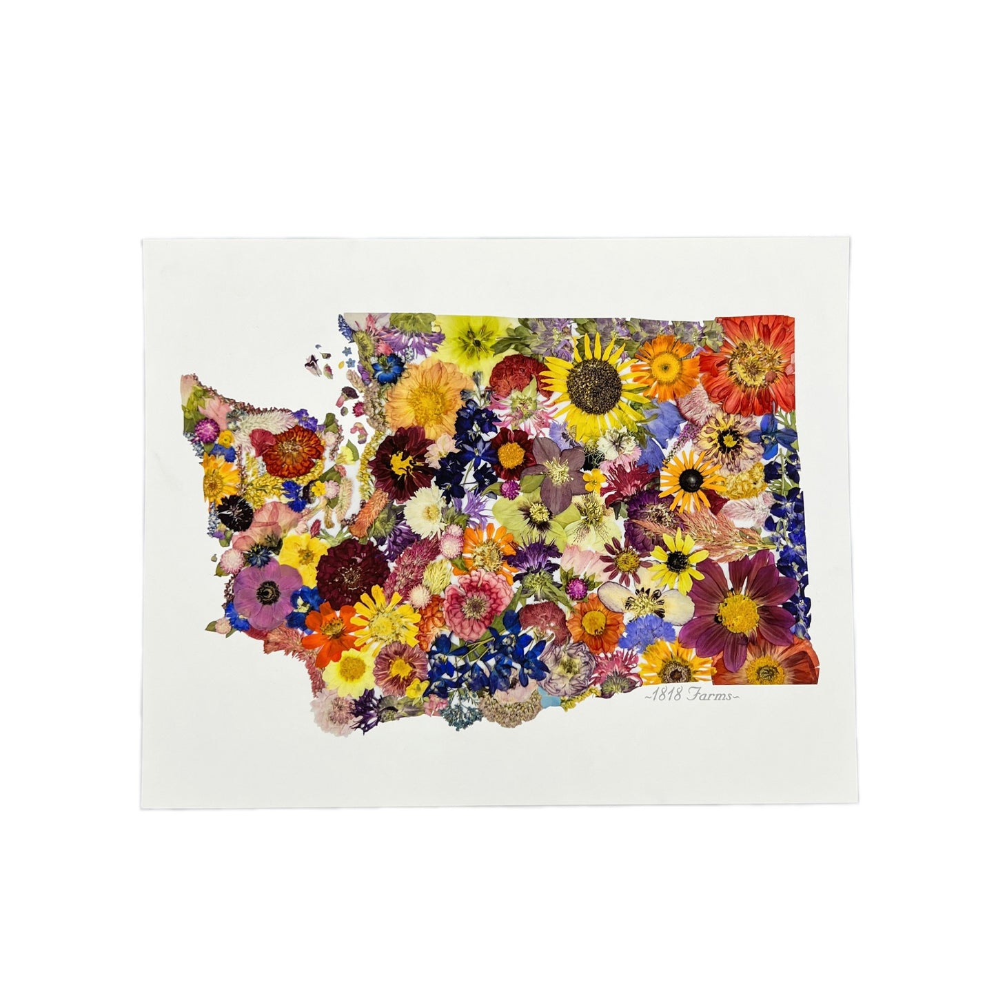 State Themed Giclée Print 11" x "14 - "Where I Bloom" Collection Giclee Art Print 1818 Farms Washington