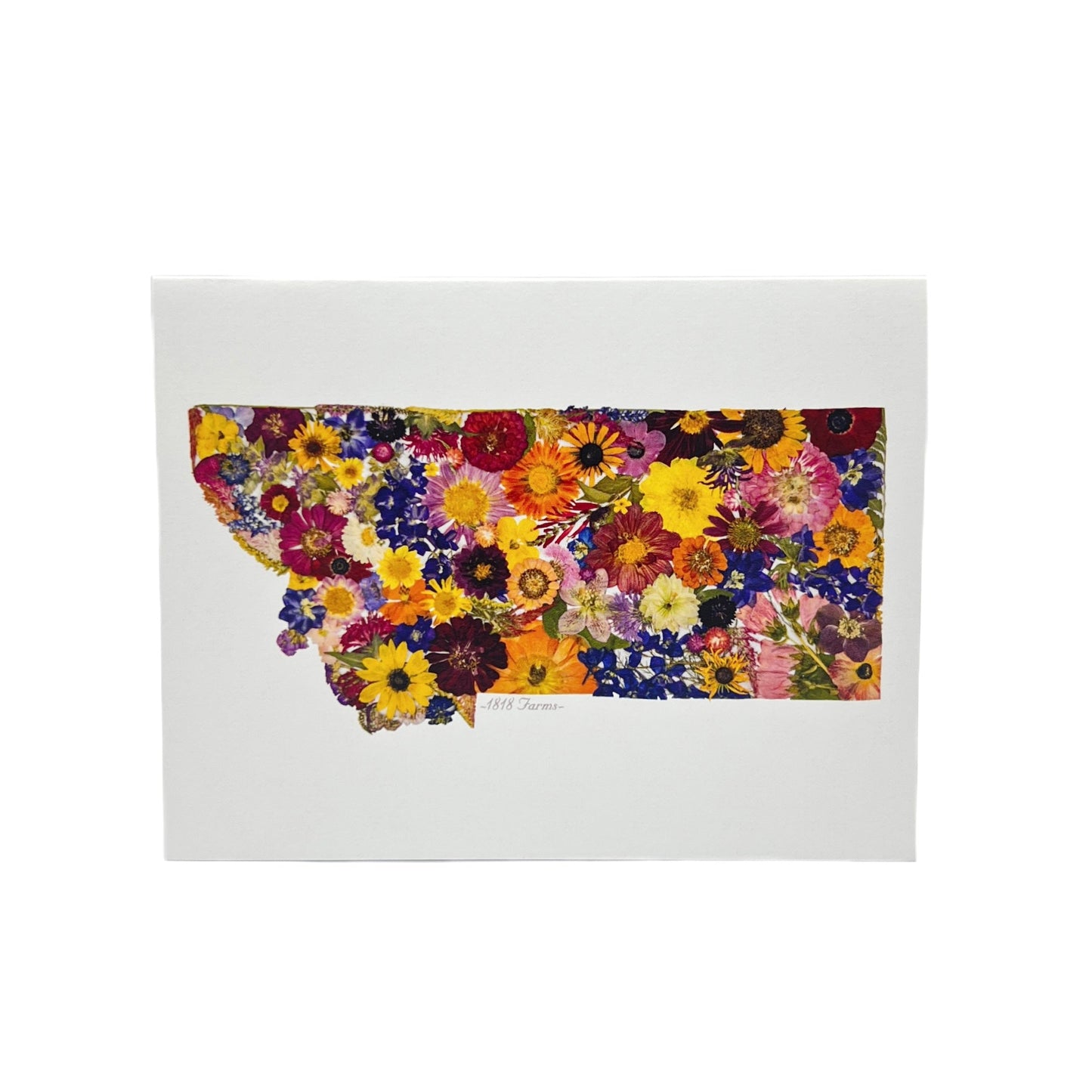 State Themed Notecards (Set of 6) - "Where I Bloom" Collection Notecard 1818 Farms Montana