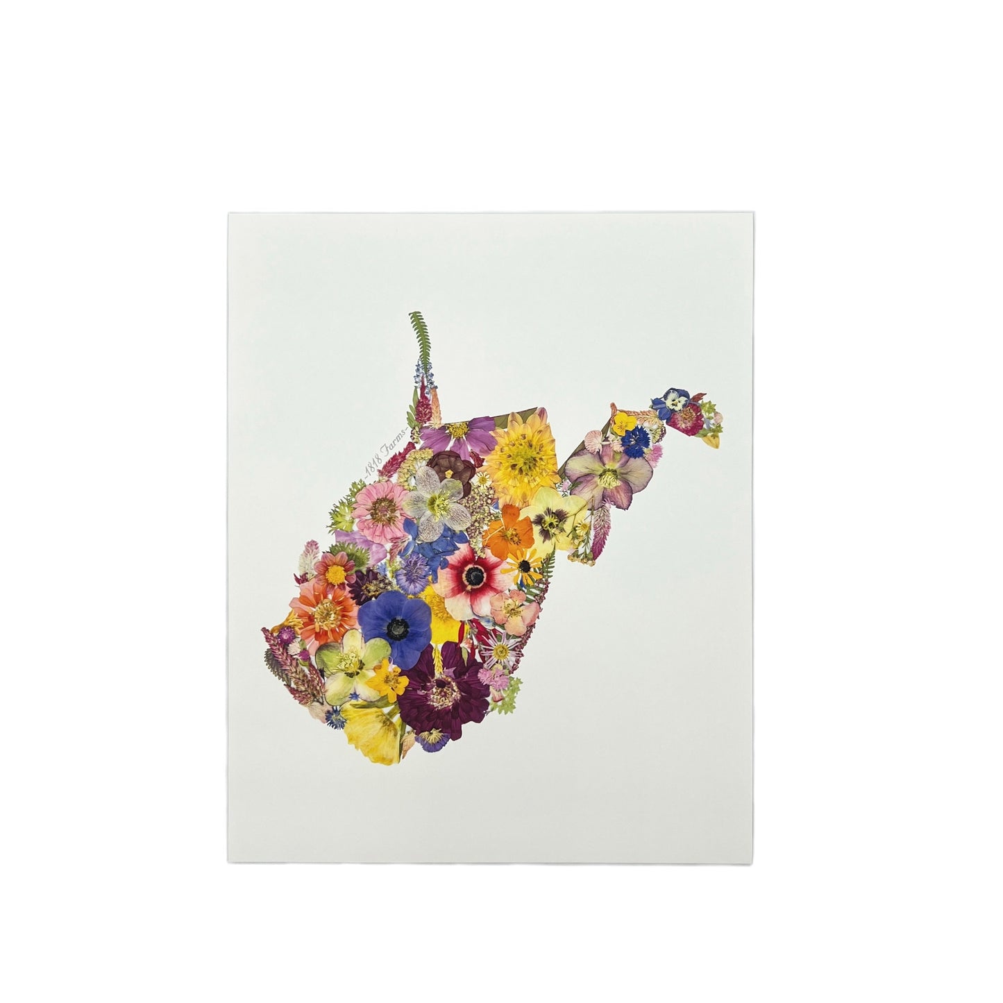 West Virginia Themed Giclée Print - "Where I Bloom" Collection Giclee Art Print 1818 Farms