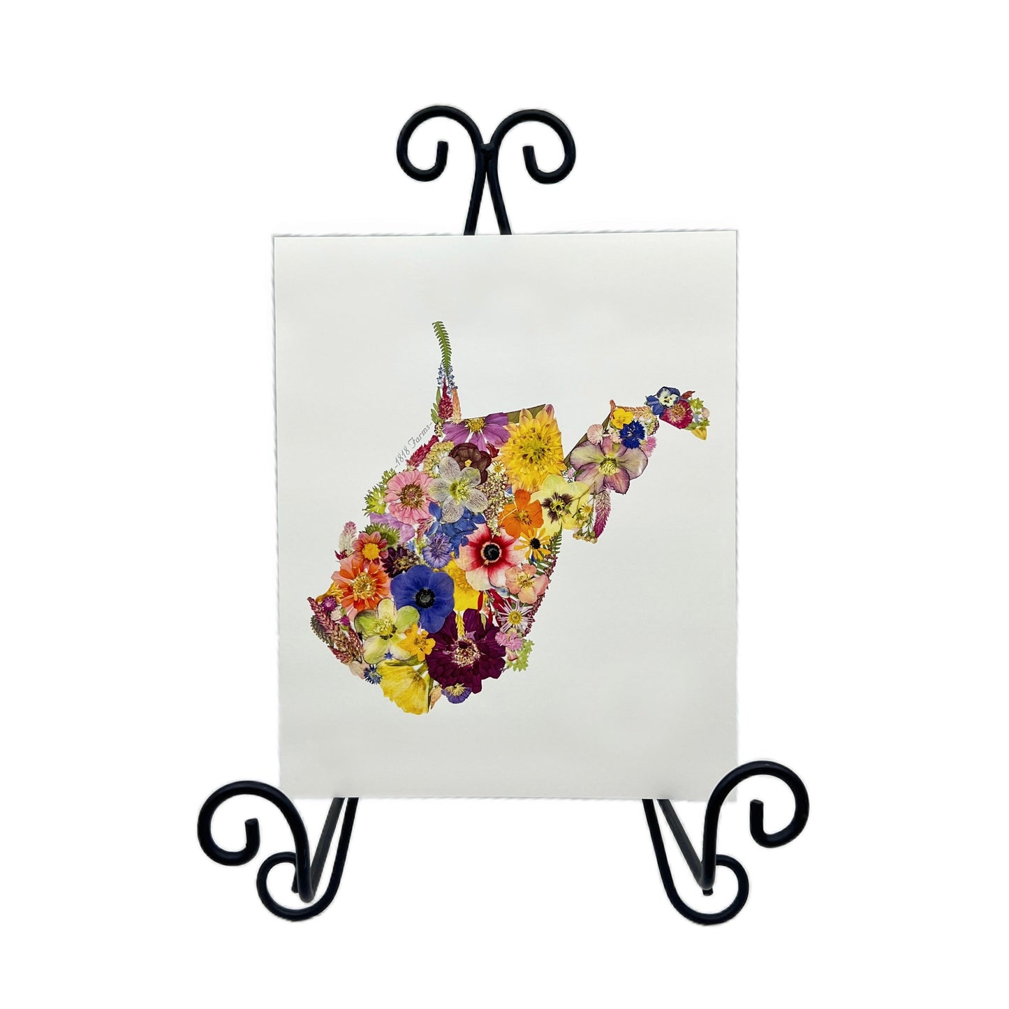 West Virginia Themed Giclée Print - "Where I Bloom" Collection Giclee Art Print 1818 Farms
