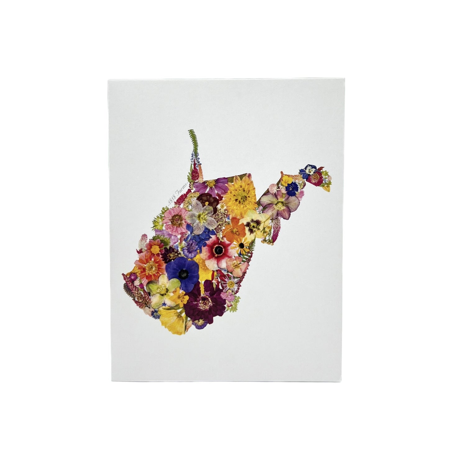 State Themed Notecards (Set of 6) - "Where I Bloom" Collection Notecard 1818 Farms West Virginia