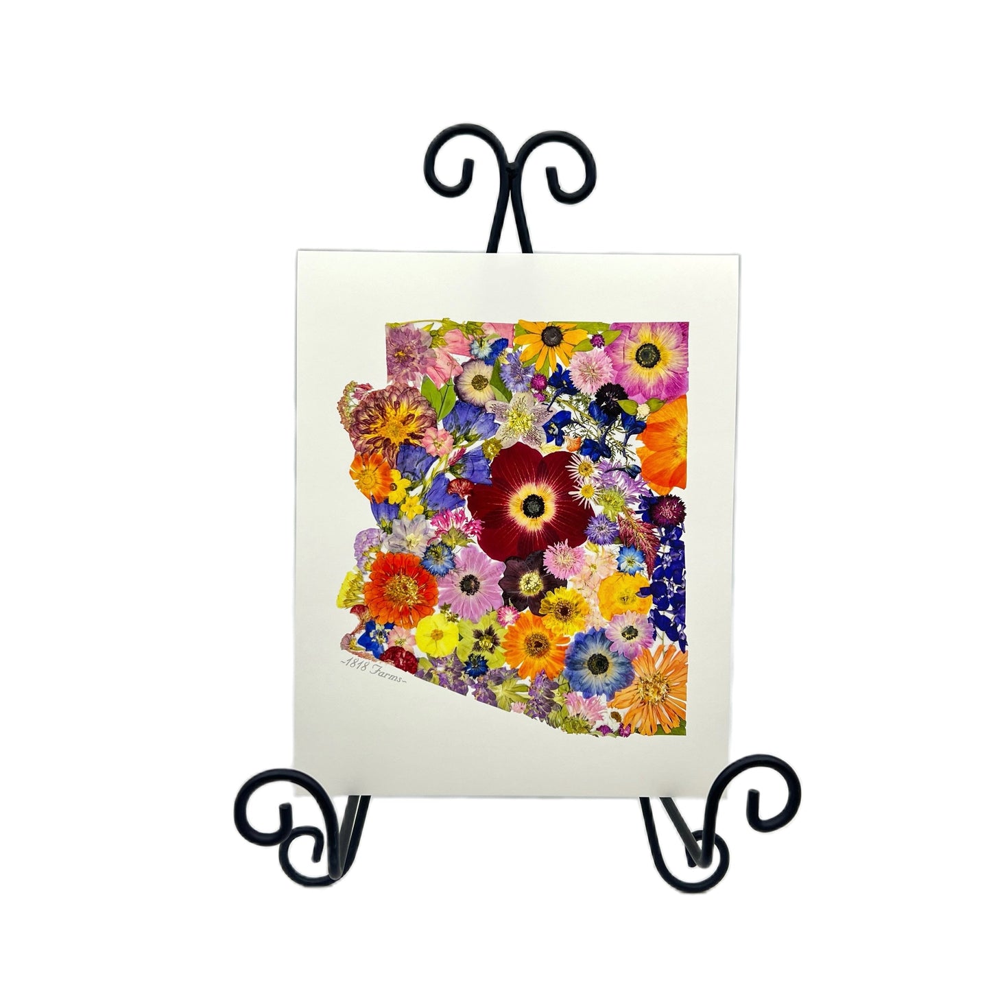 Arizona Themed Giclée Print - "Where I Bloom" Collection Giclee Art Print 1818 Farms