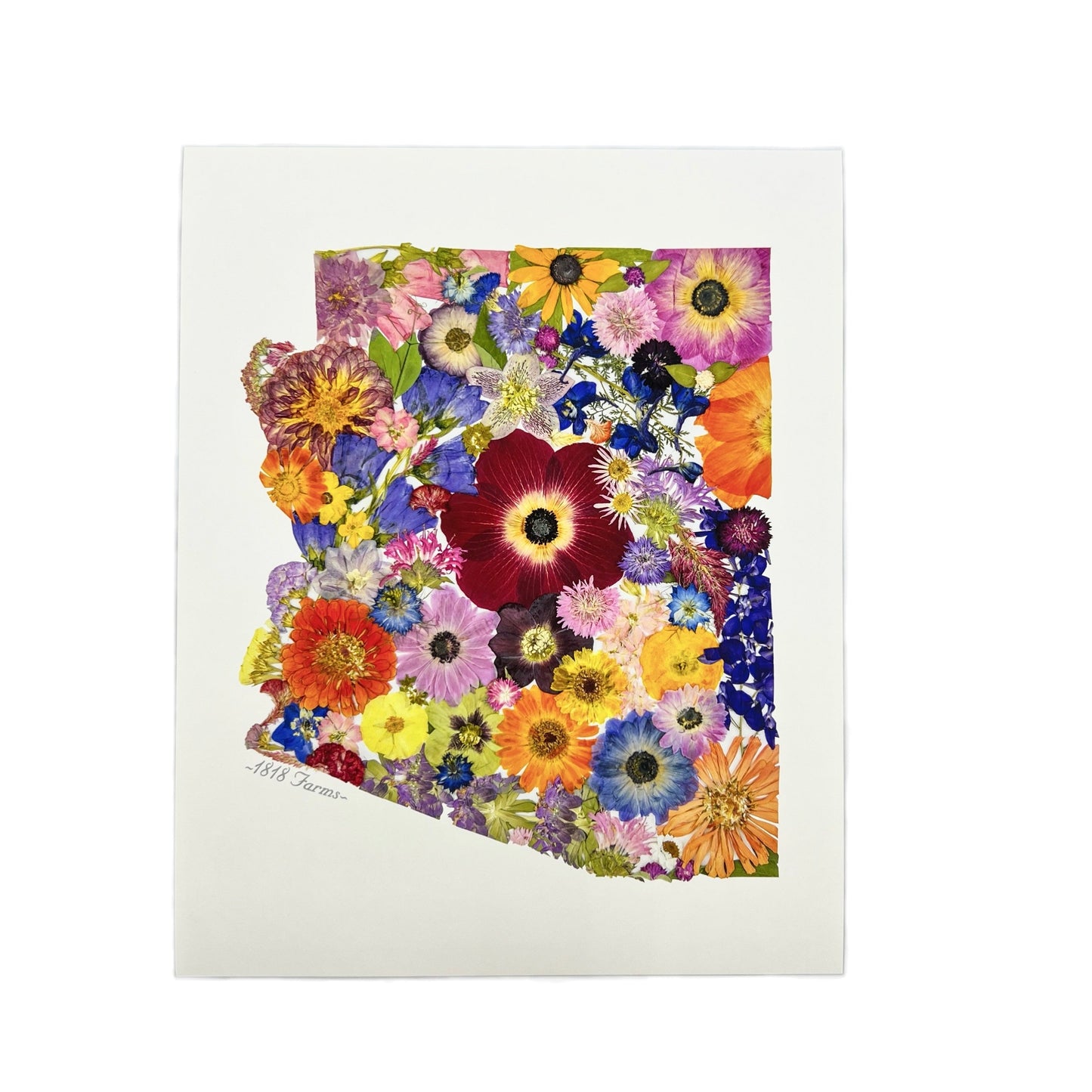 State Themed Giclée Print 11" x "14 - "Where I Bloom" Collection Giclee Art Print 1818 Farms Arizona