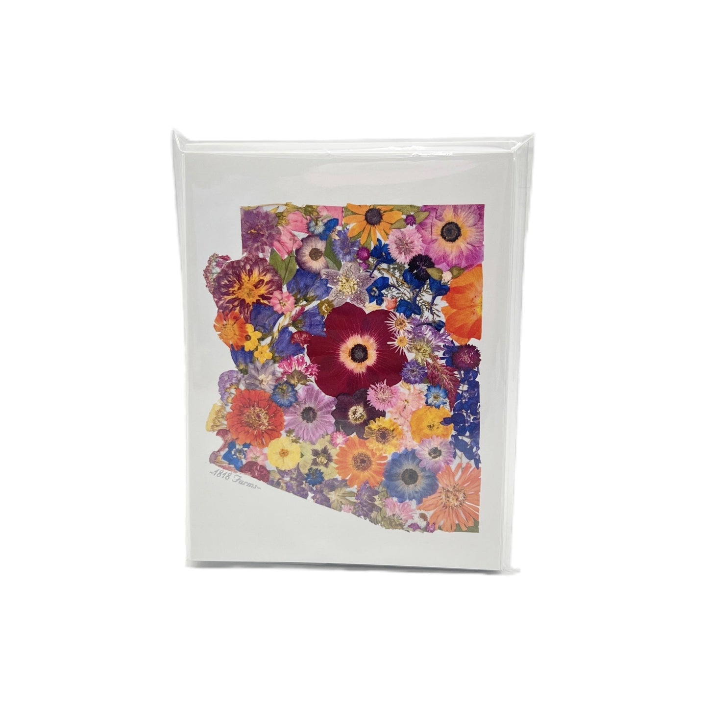 Arizona Themed Notecards (Set of 6) - "Where I Bloom" Collection Notecard 1818 Farms