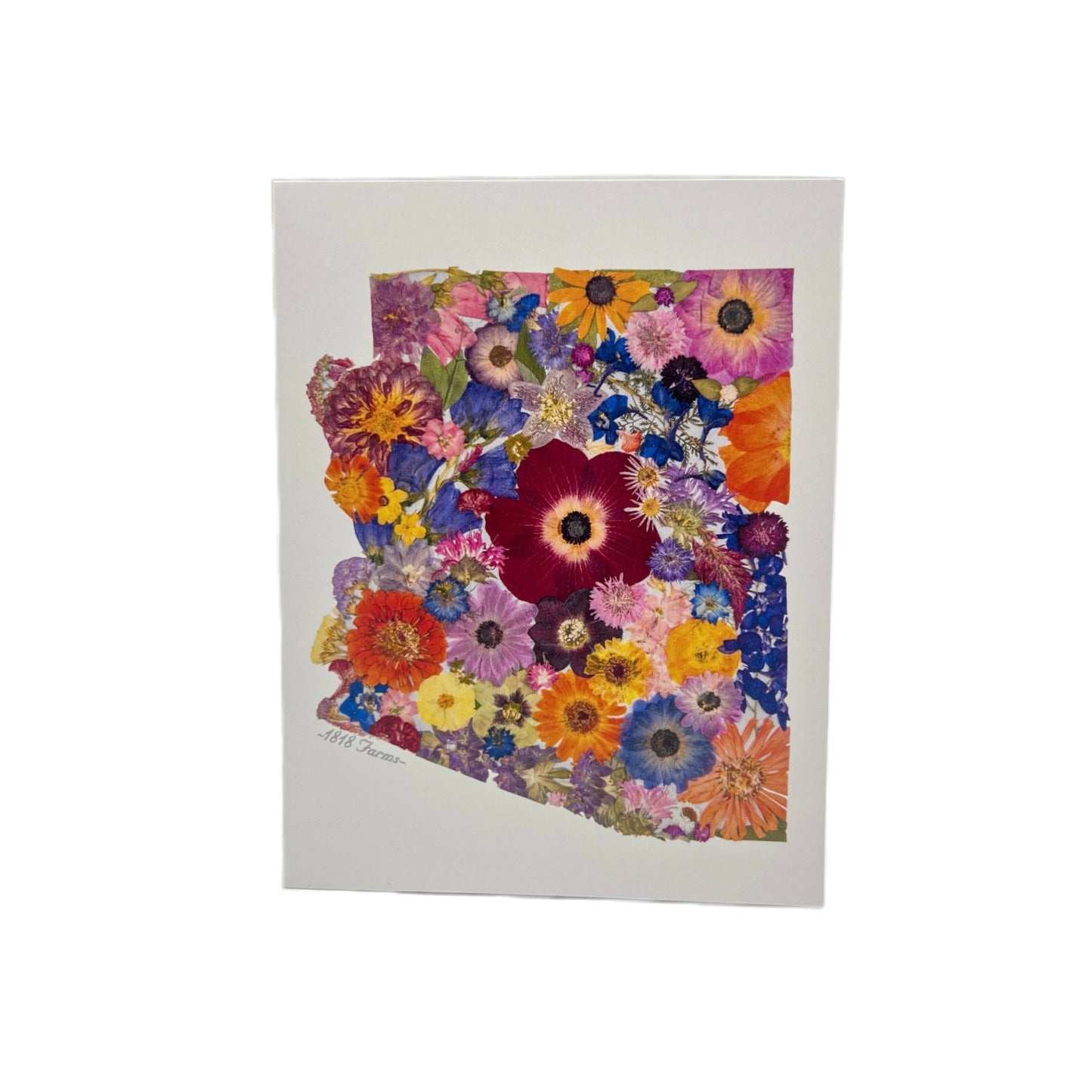 State Themed Notecards (Set of 6) - "Where I Bloom" Collection Notecard 1818 Farms Arizona