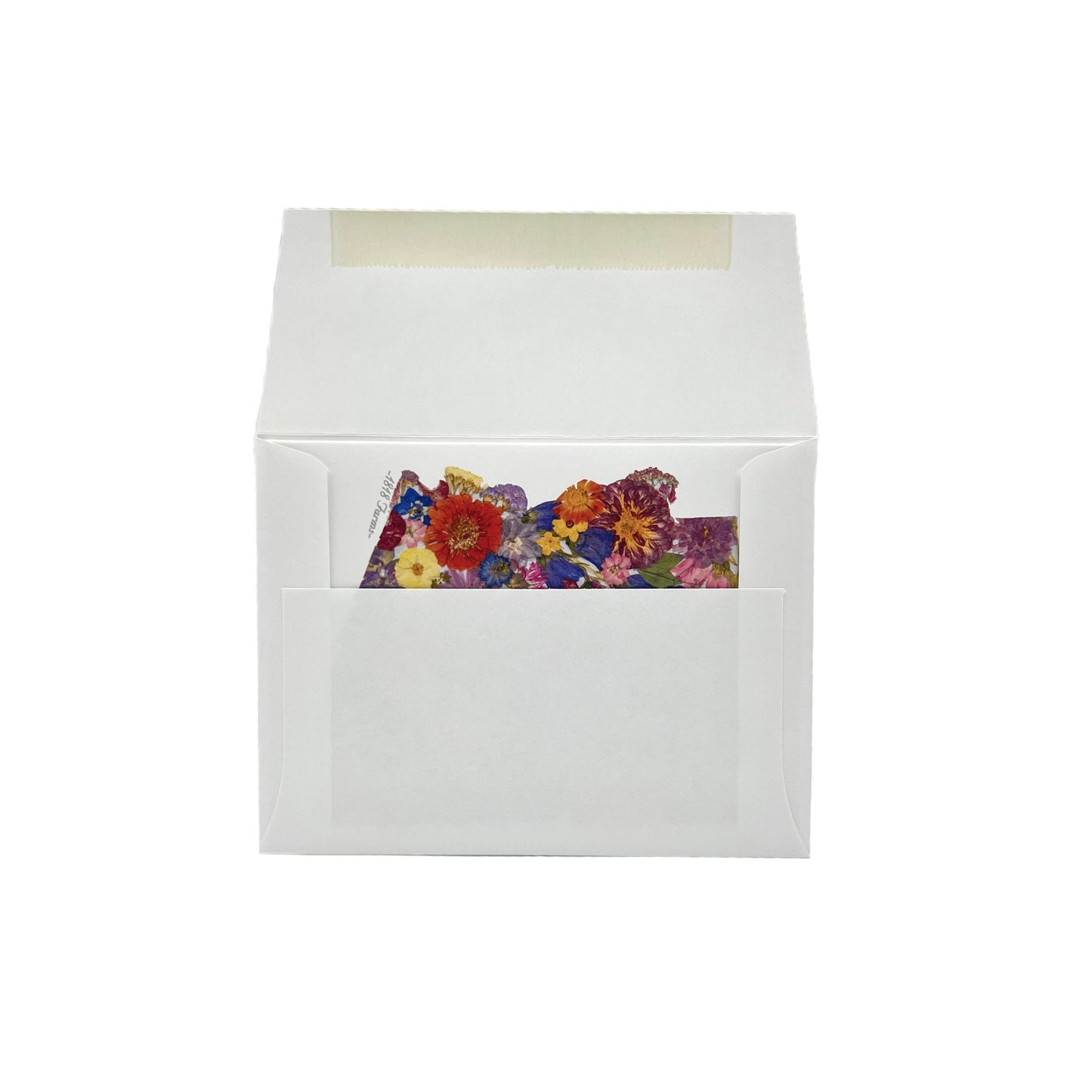 Arizona Themed Notecards (Set of 6) - "Where I Bloom" Collection Notecard 1818 Farms
