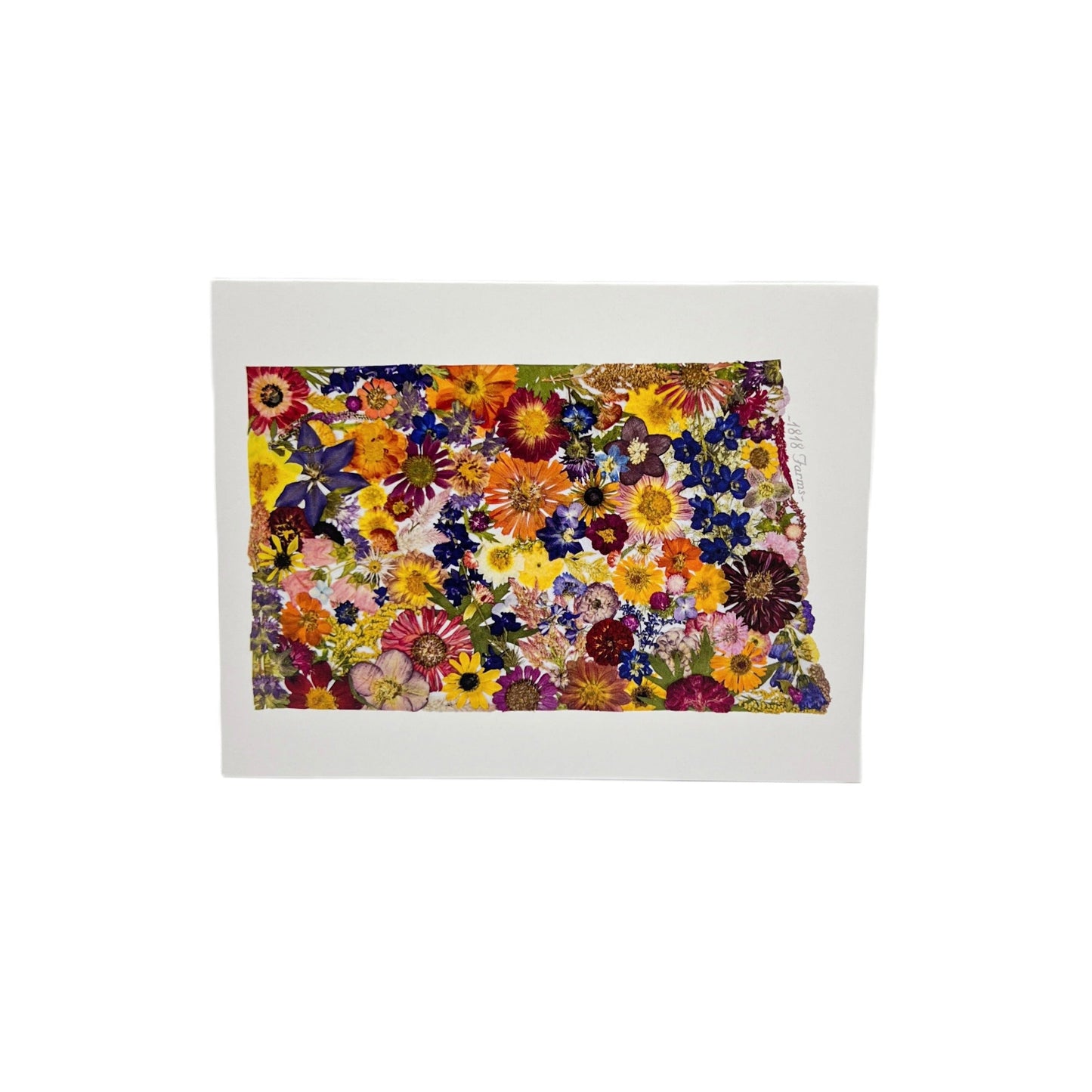 State Themed Notecards (Set of 6) - "Where I Bloom" Collection Notecard 1818 Farms North Dakota