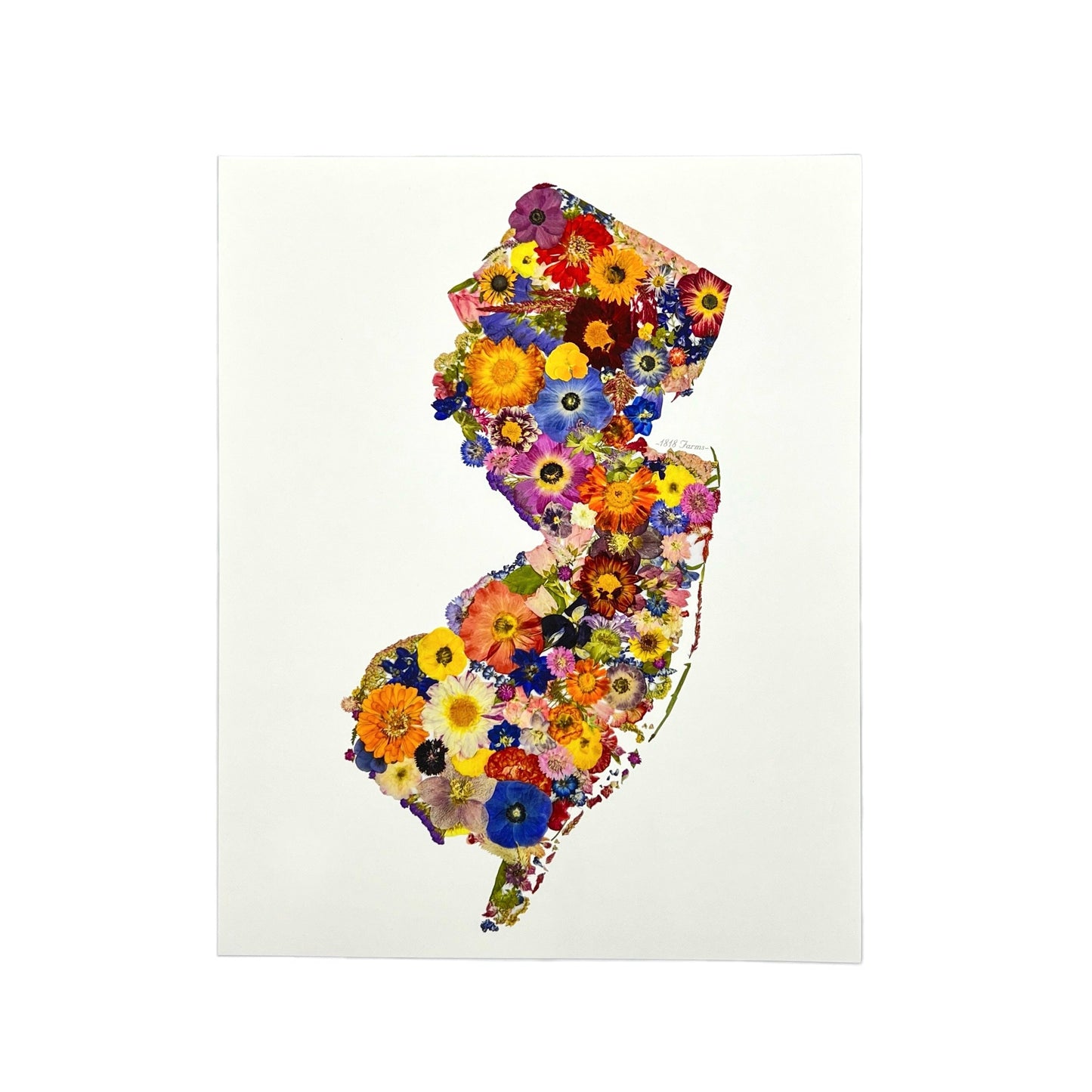 New Jersey Themed Giclée Print - "Where I Bloom" Collection Giclee Art Print 1818 Farms