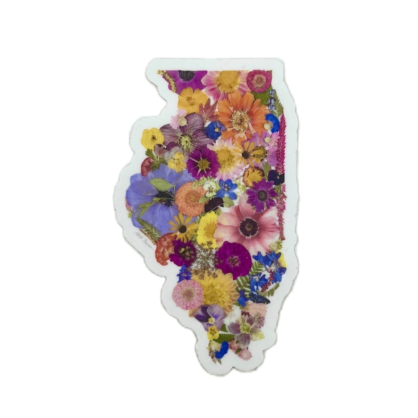 State Themed Vinyl Sticker - "Where I Bloom" Collection Vinyl Sticker 1818 Farms Illinois