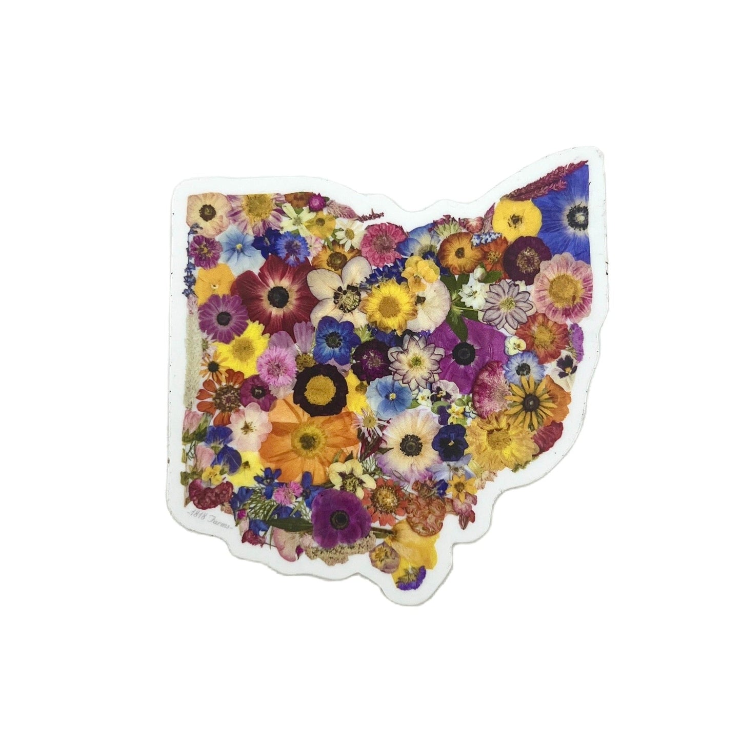 State Themed Vinyl Sticker - "Where I Bloom" Collection Vinyl Sticker 1818 Farms Ohio