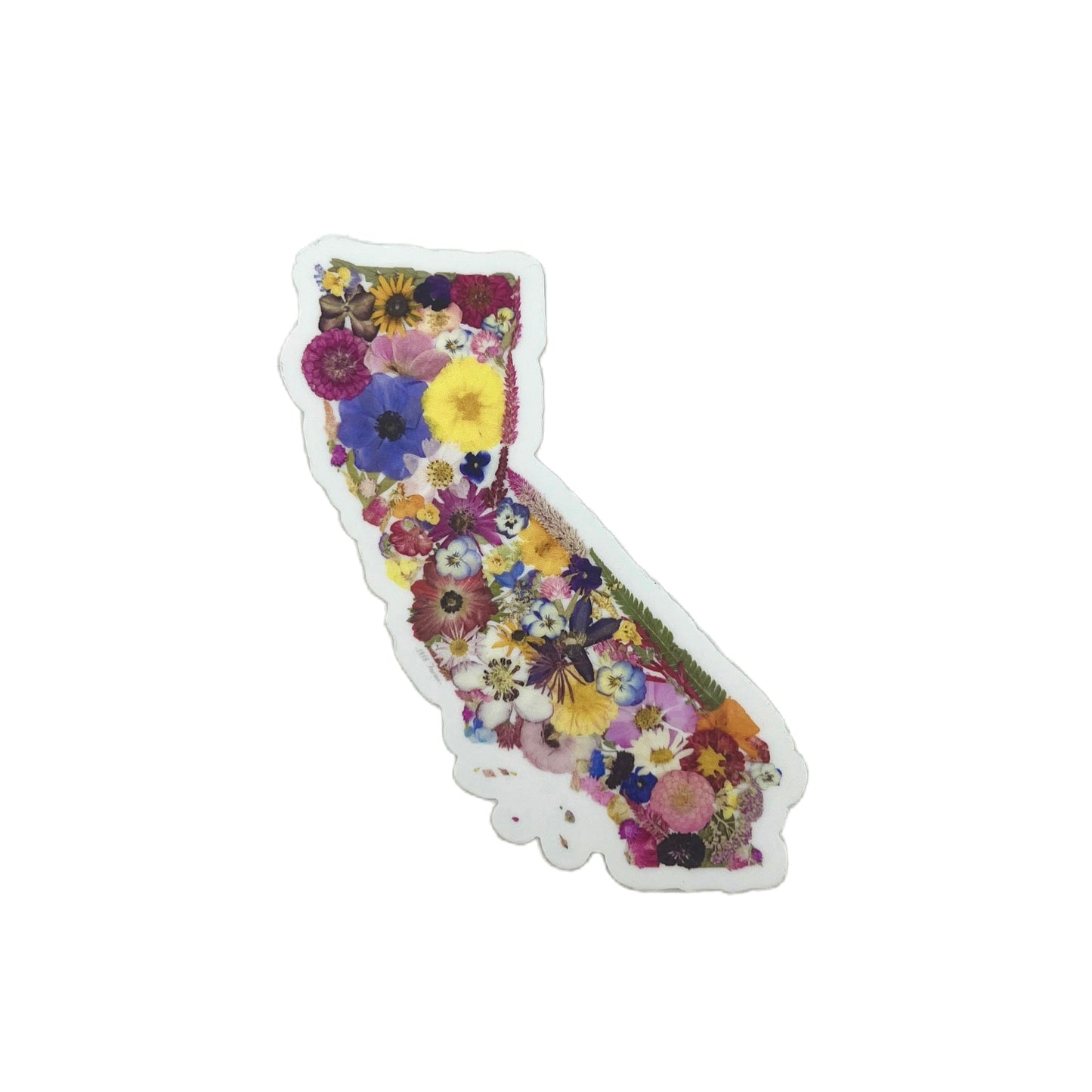 State Themed Vinyl Sticker - "Where I Bloom" Collection Vinyl Sticker 1818 Farms California