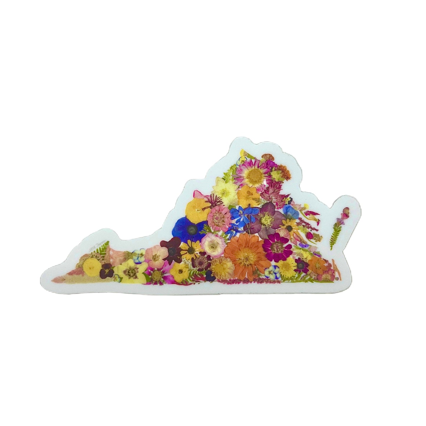 State Themed Vinyl Sticker - "Where I Bloom" Collection Vinyl Sticker 1818 Farms Virginia