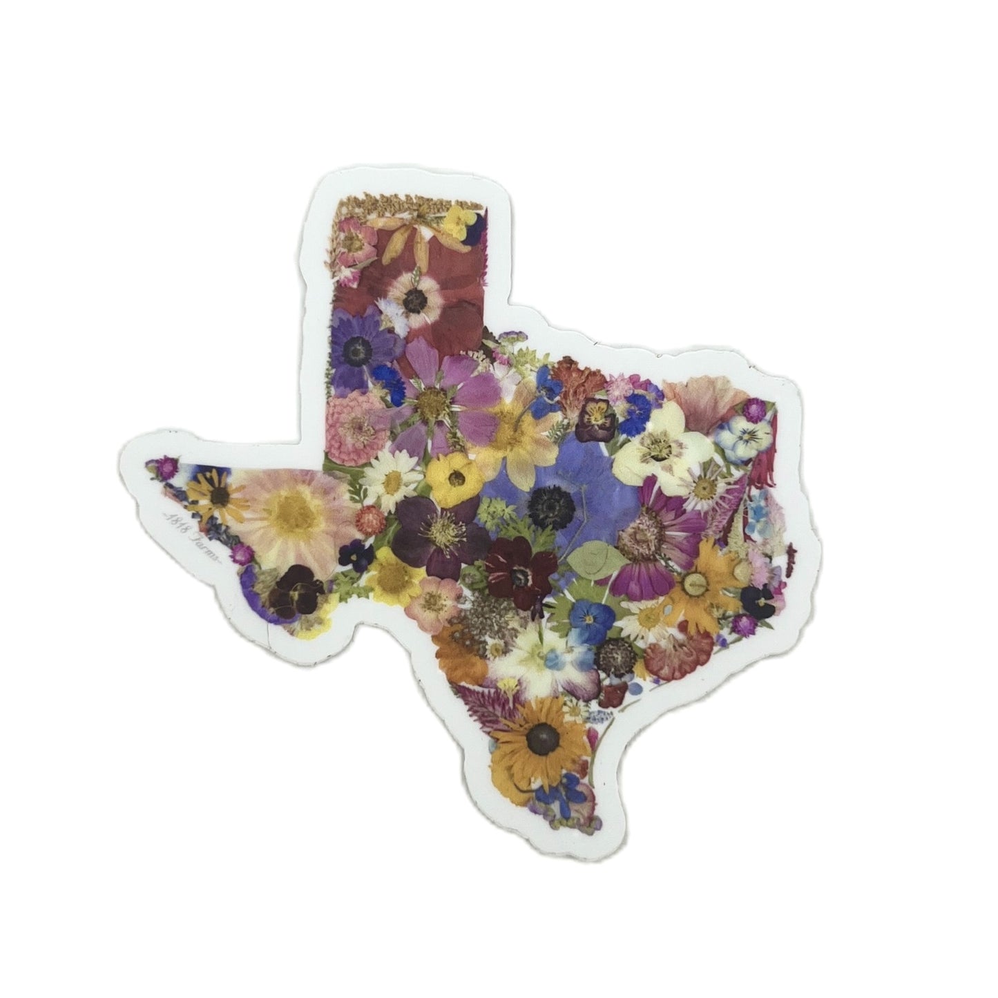 State Themed Vinyl Sticker - "Where I Bloom" Collection Vinyl Sticker 1818 Farms Texas  