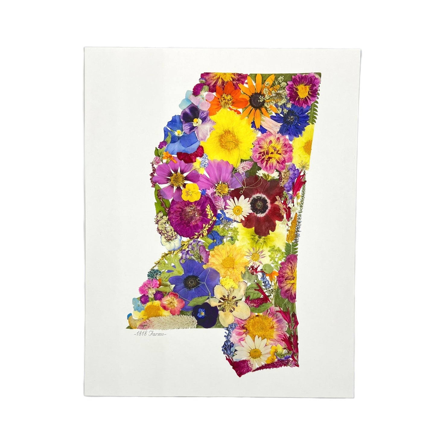 State Themed Giclée Print 11" x "14 - "Where I Bloom" Collection Giclee Art Print 1818 Farms Mississippi  