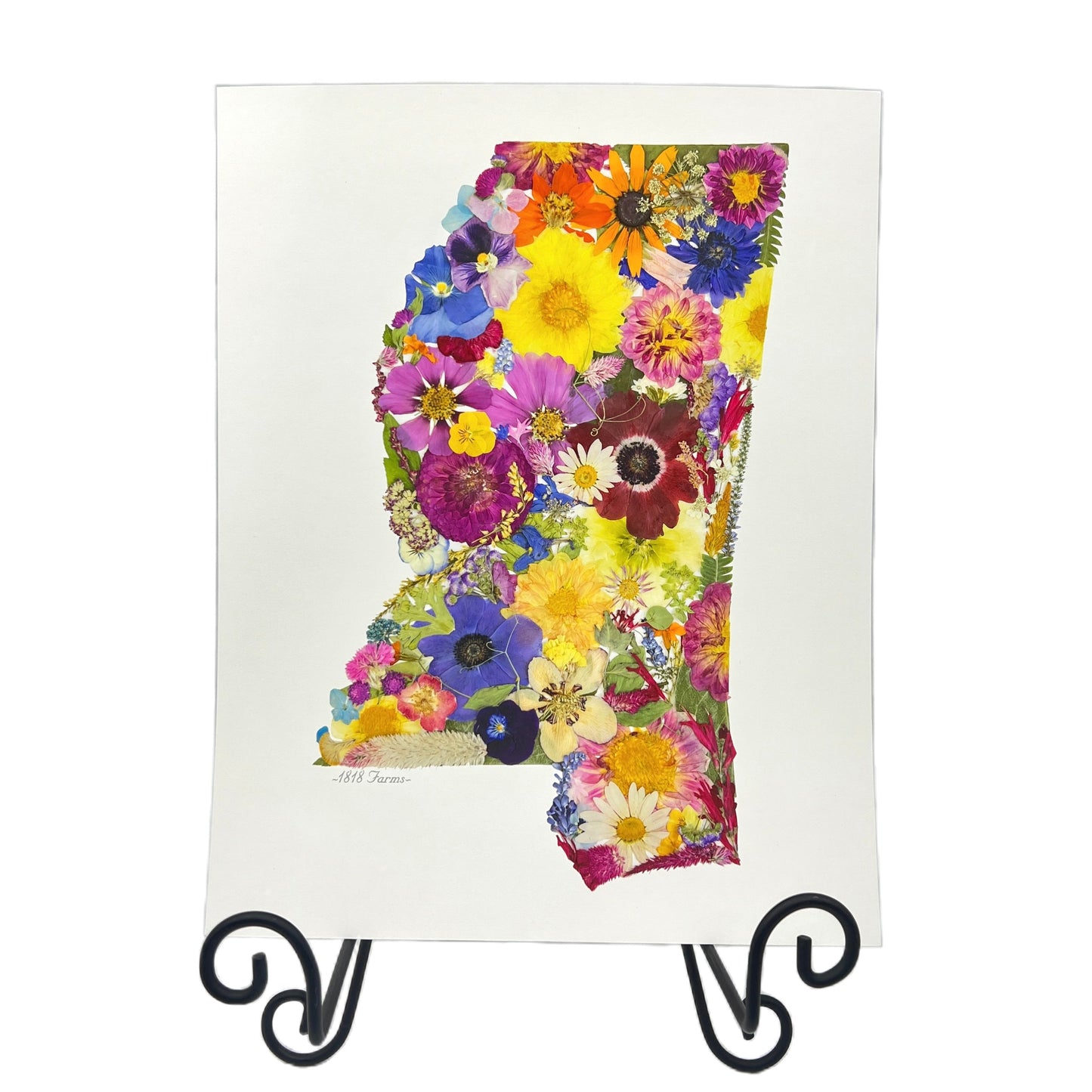 Mississippi Themed Giclée Print - "Where I Bloom" Collection Giclee Art Print 1818 Farms   