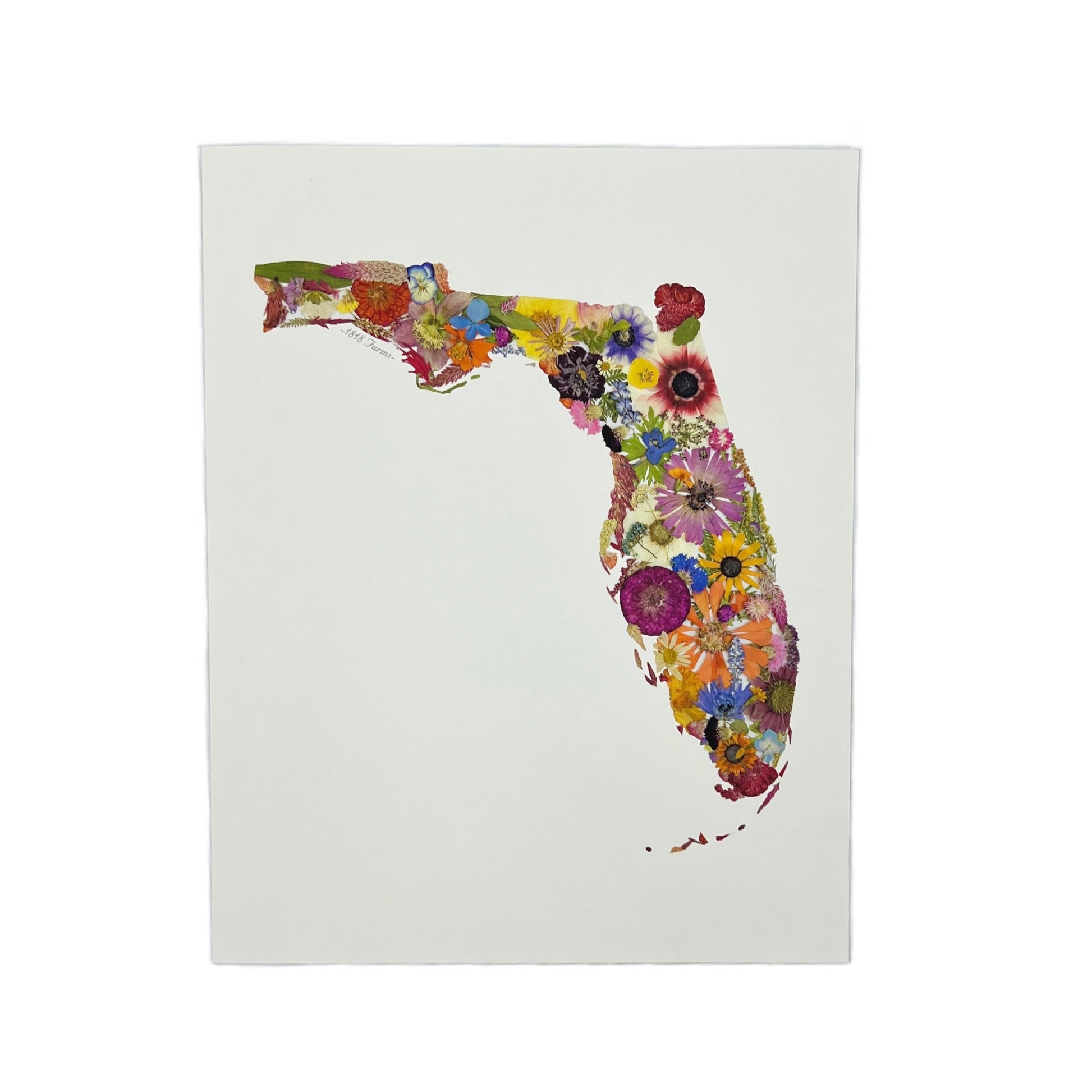 State Themed Giclée Print 11" x "14 - "Where I Bloom" Collection Giclee Art Print 1818 Farms Florida  