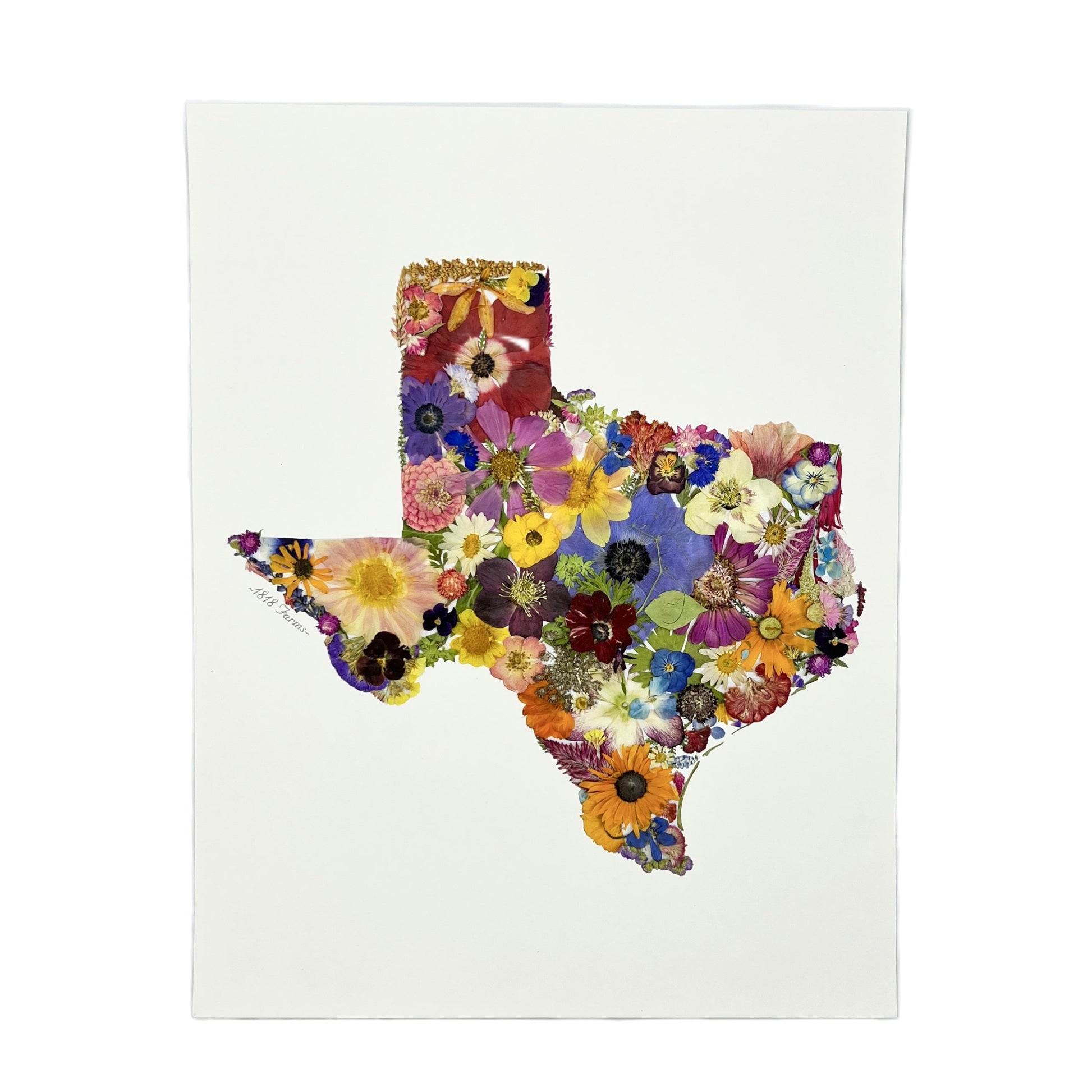 Texas Themed Giclée Print - "Where I Bloom" Collection Giclee Art Print 1818 Farms 8"x10"  