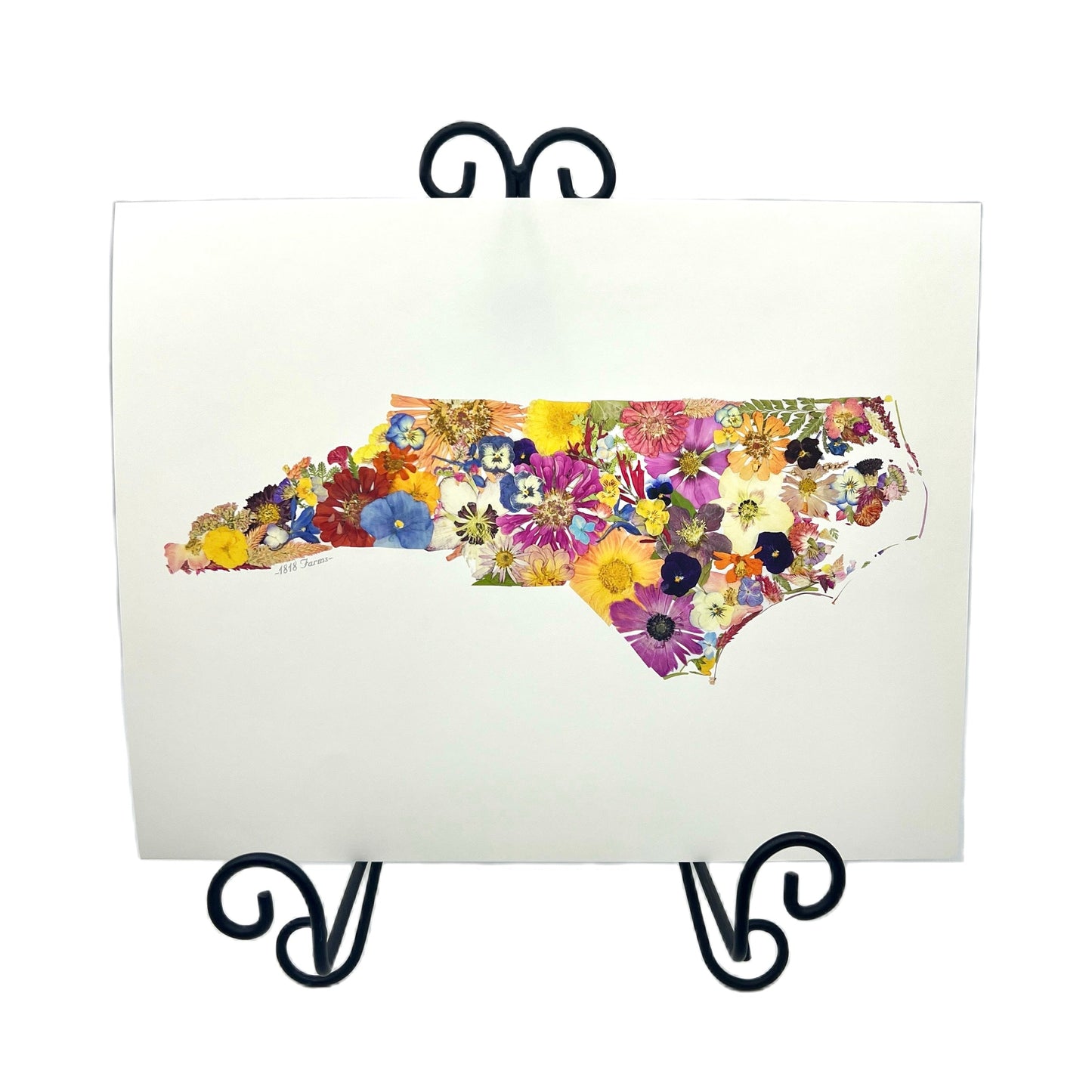 North Carolina Themed Giclée Print - "Where I Bloom" Collection Giclee Art Print 1818 Farms   