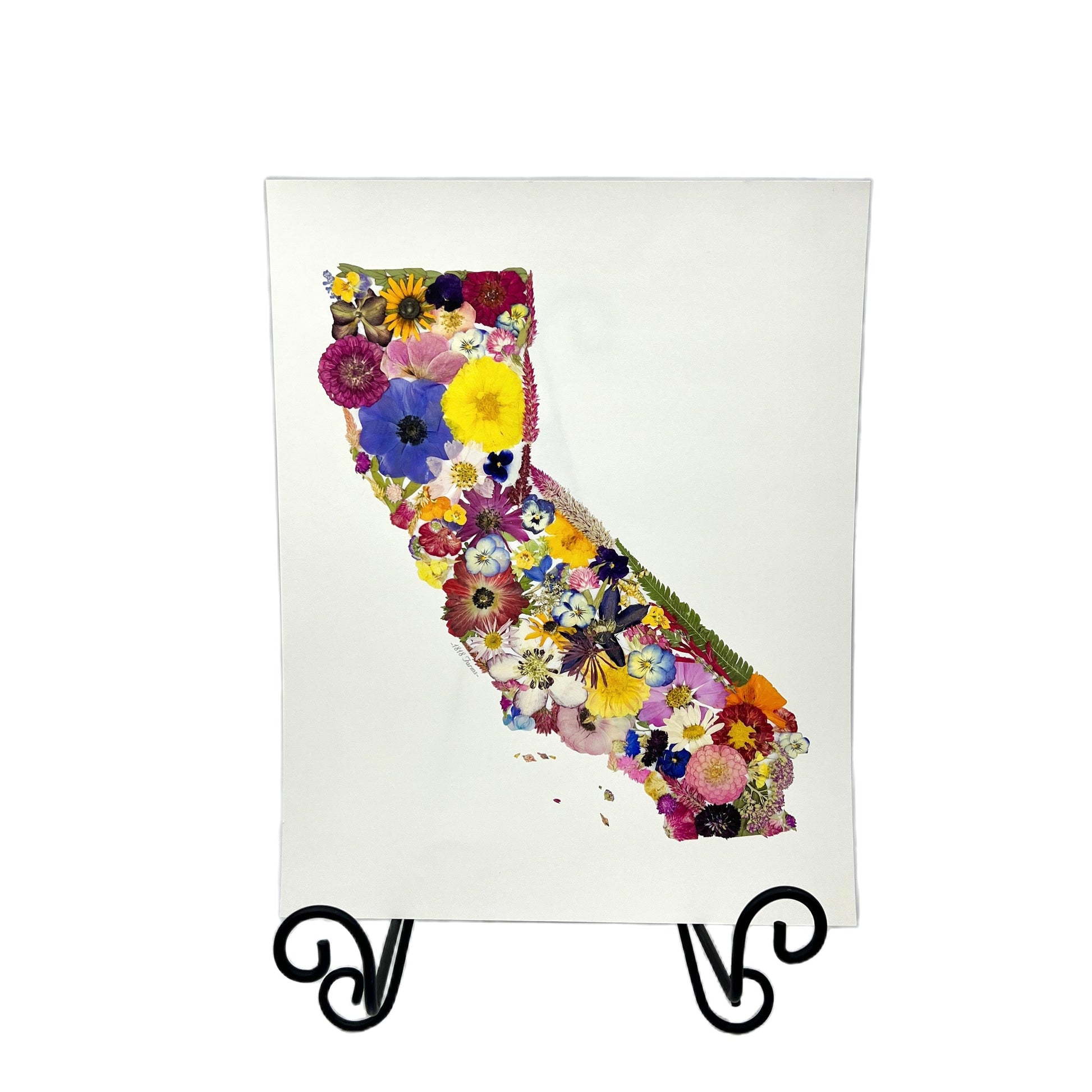 California Themed Giclée Print - "Where I Bloom" Collection Giclee Art Print 1818 Farms   