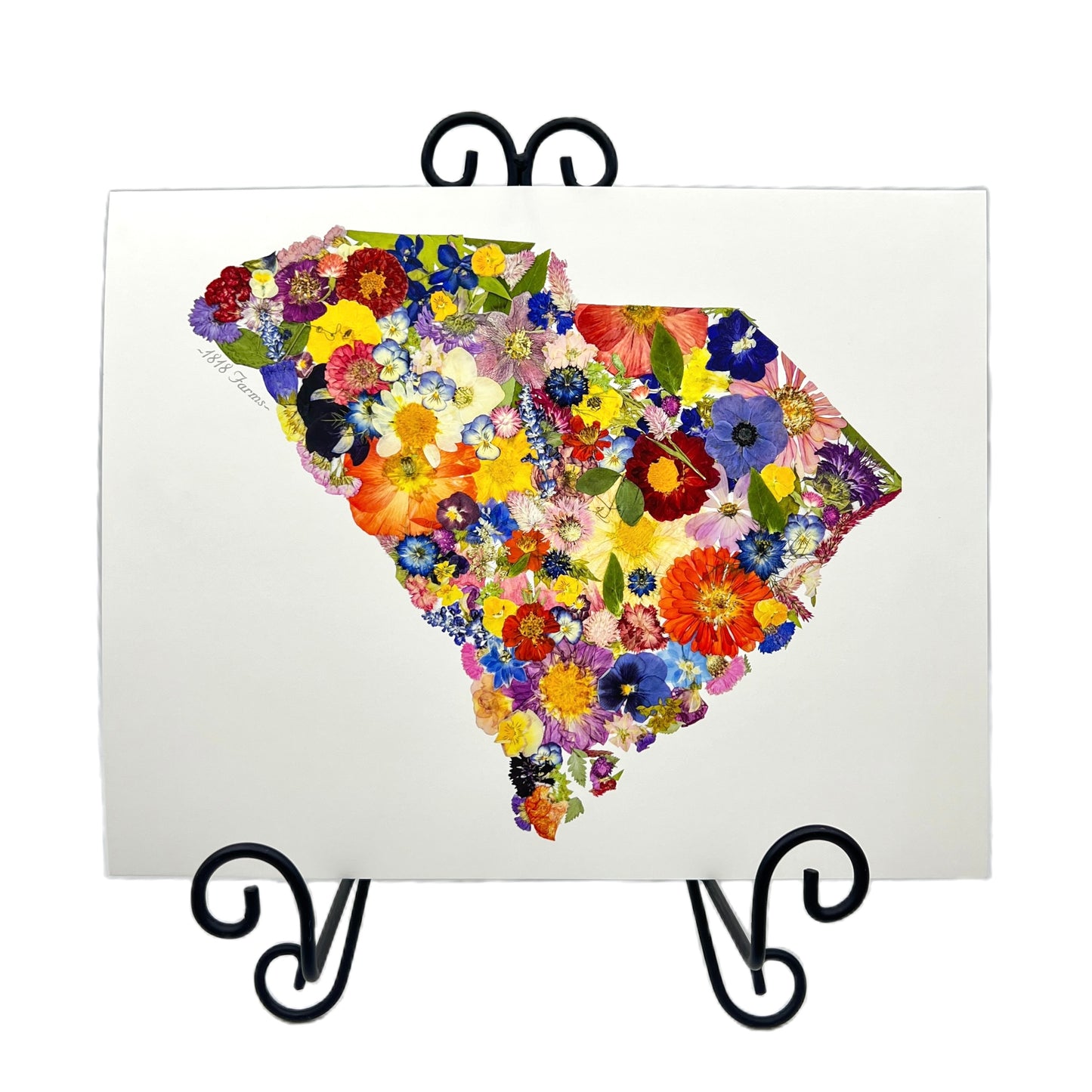 South Carolina Themed Giclée Print - "Where I Bloom" Collection Giclee Art Print 1818 Farms   