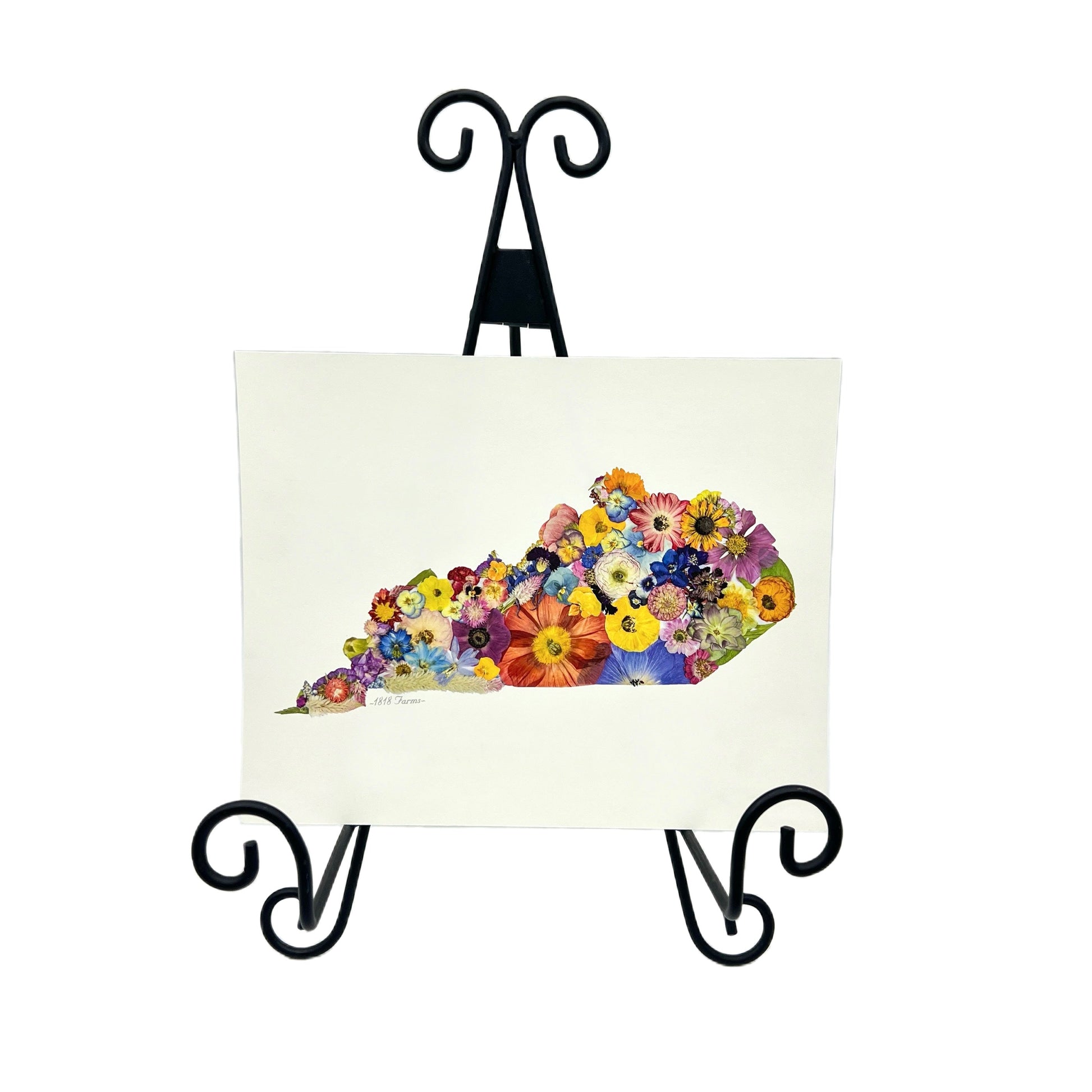 Kentucky Themed Giclée Print - "Where I Bloom" Collection Giclee Art Print 1818 Farms   