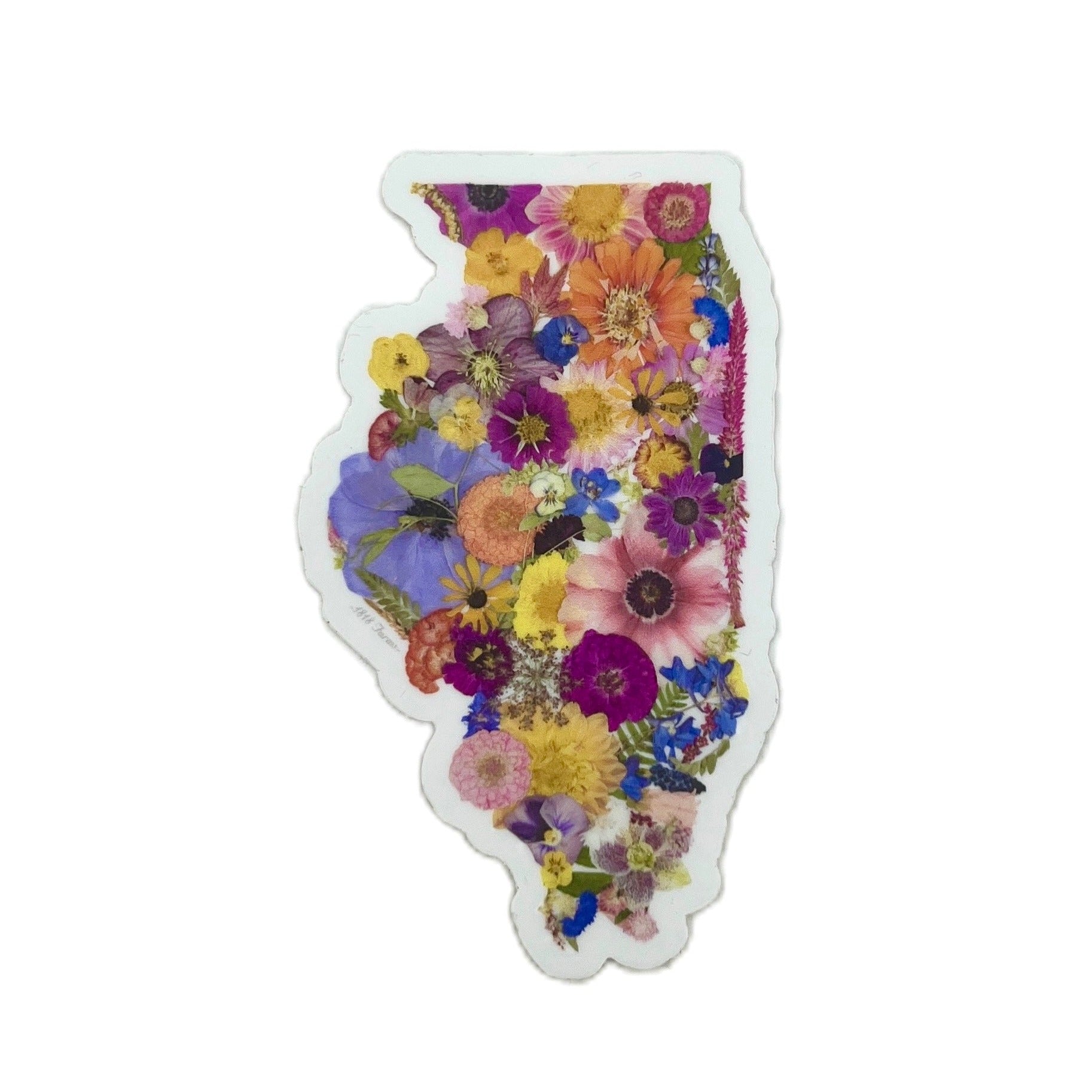 Illinois Themed Vinyl Sticker - "Where I Bloom" Collection Vinyl Sticker 1818 Farms   