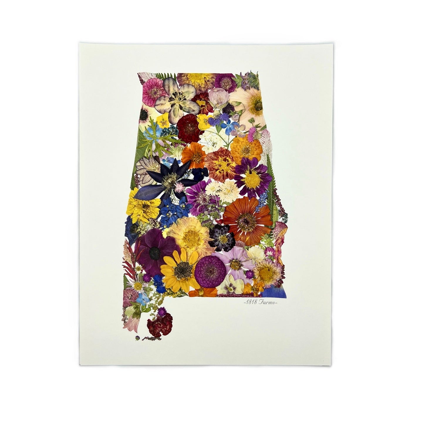 Alabama Themed Giclée Print - "Where I Bloom" Collection Giclee Art Print 1818 Farms 8"x10"  