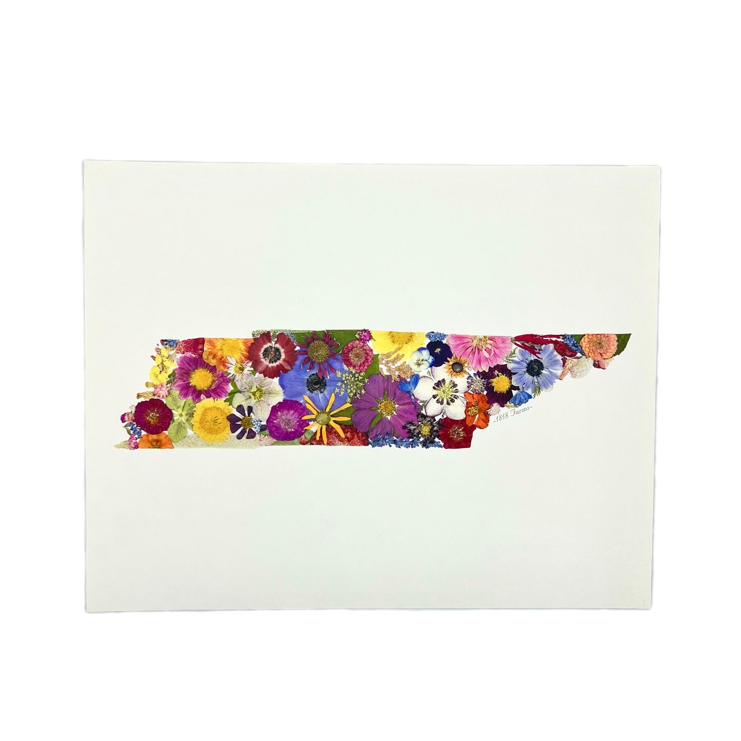 Tennessee Themed Giclée Print - "Where I Bloom" Collection Giclee Art Print 1818 Farms 8"x10"  