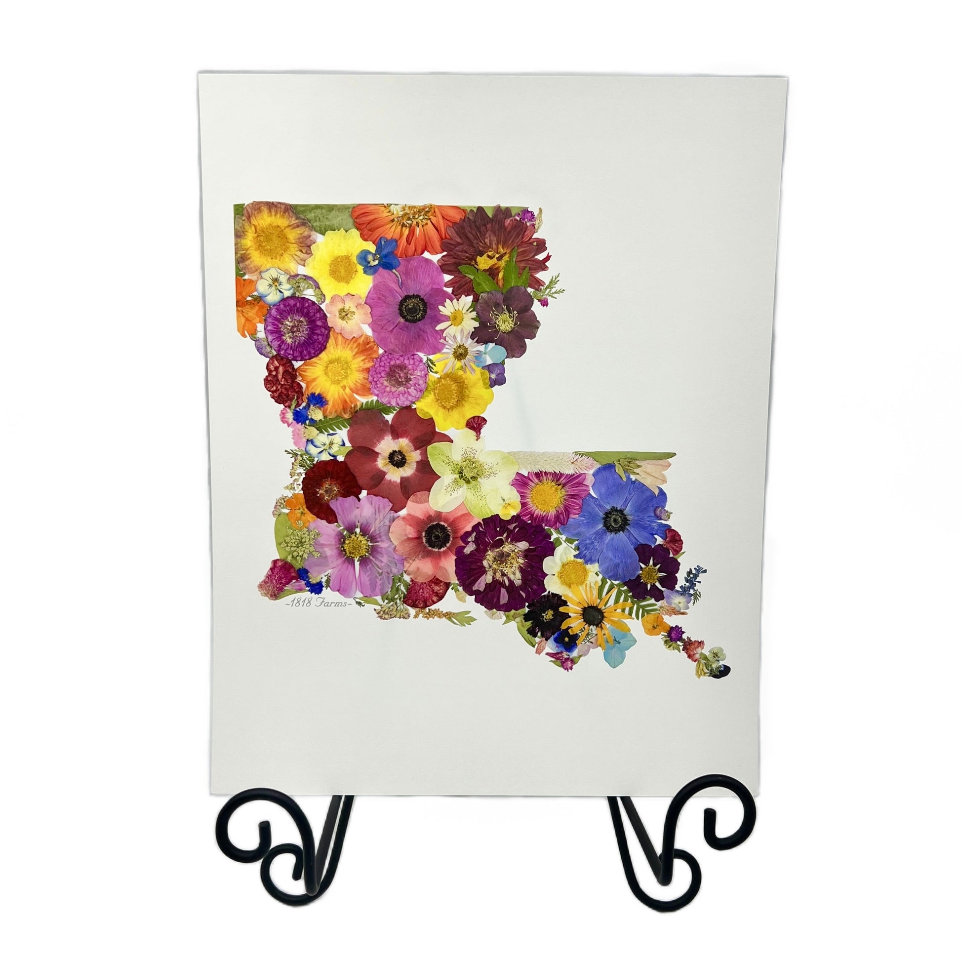 Louisiana Themed Giclée Print - "Where I Bloom" Collection Giclee Art Print 1818 Farms   