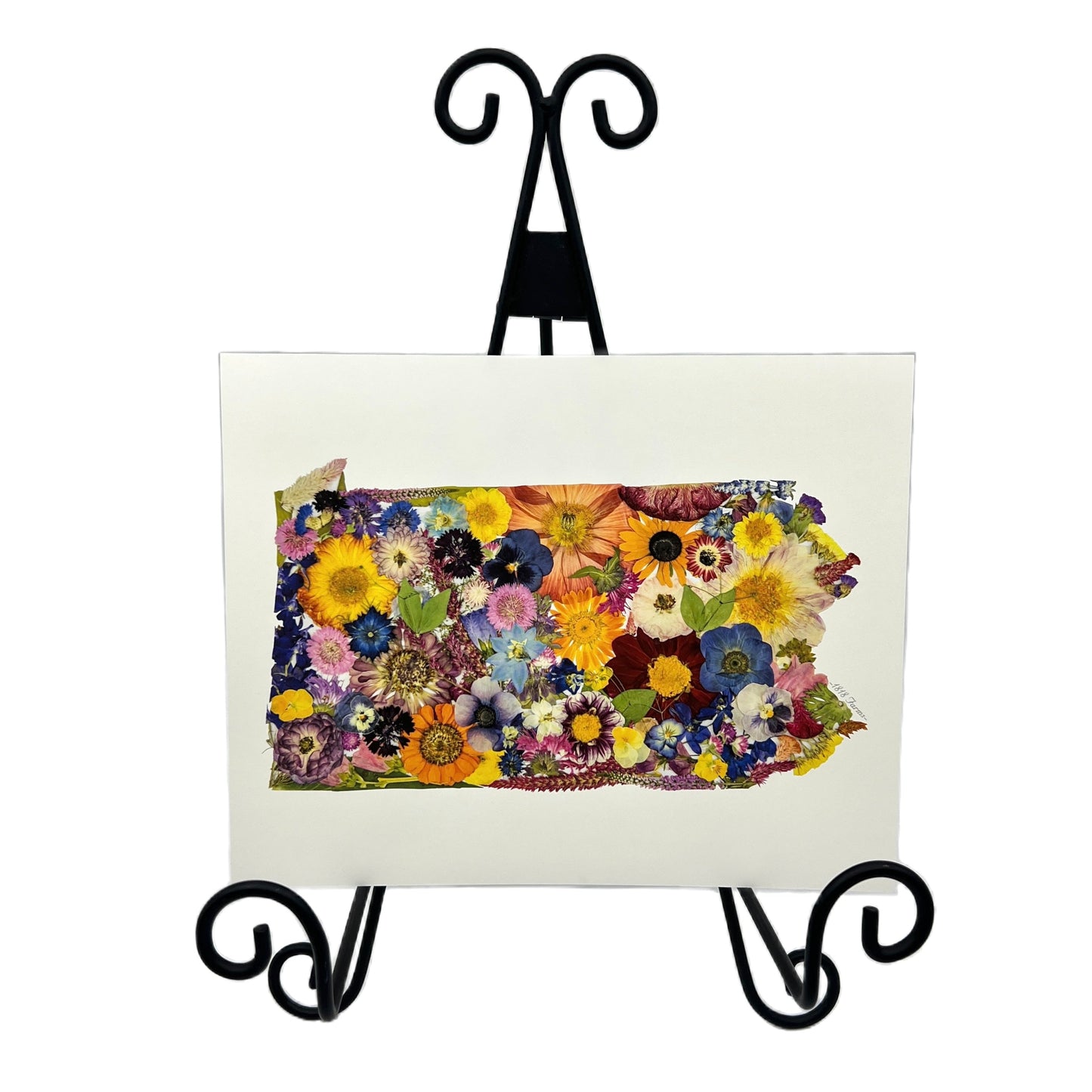 Pennsylvania Themed Giclée Print  - "Where I Bloom" Collection Giclee Art Print 1818 Farms   