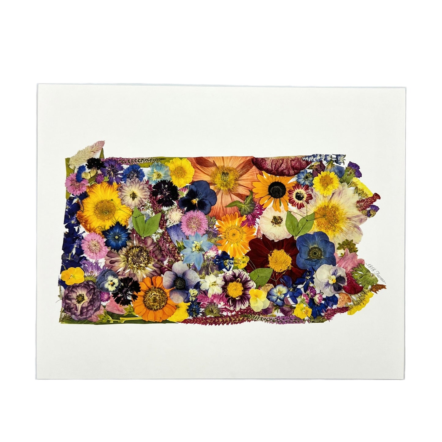 State Themed Giclée Print 11" x "14 - "Where I Bloom" Collection Giclee Art Print 1818 Farms Pennsylvania  