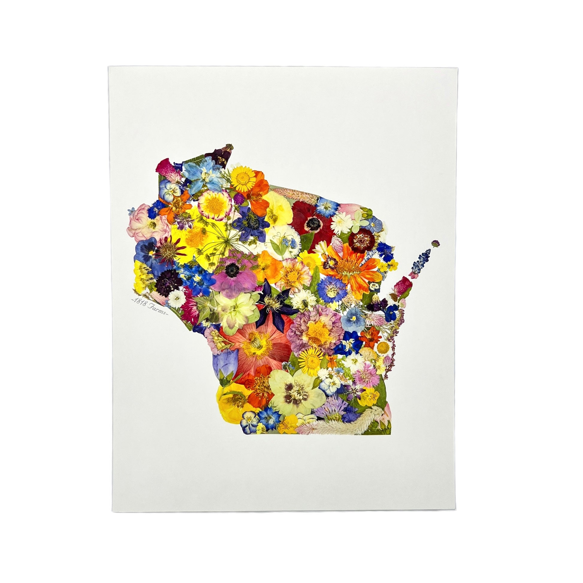 State Themed Giclée Print 16" x "20 - "Where I Bloom" Collection Giclee Art Print 1818 Farms Wisconsin  