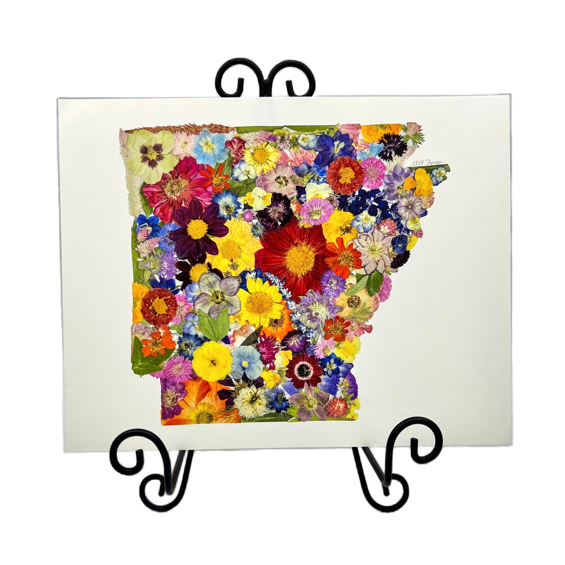 Arkansas Themed Giclée Print  - "Where I Bloom" Collection Giclee Art Print 1818 Farms   