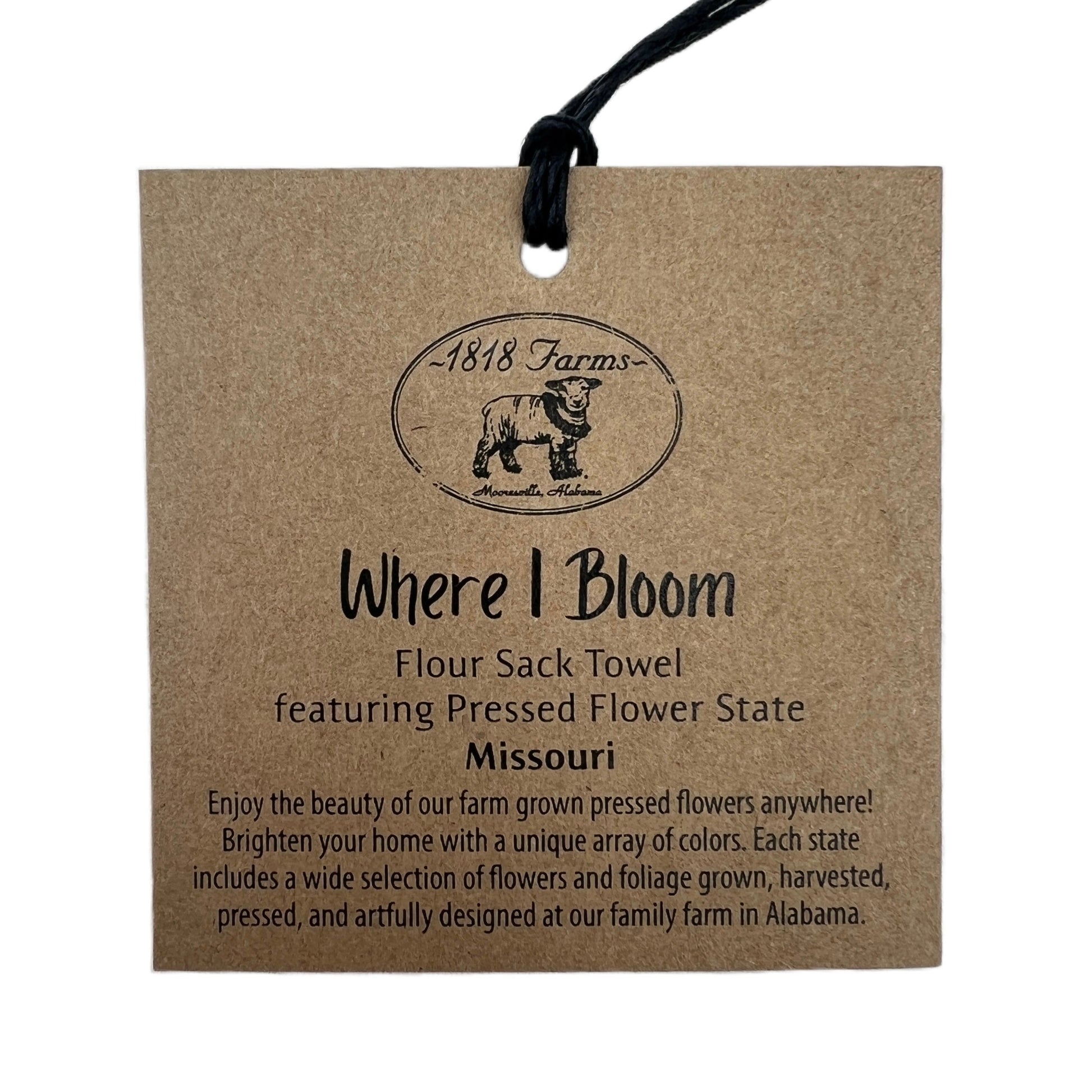 Missouri Themed Flour Sack Towel  - "Where I Bloom" Collection Towel 1818 Farms   