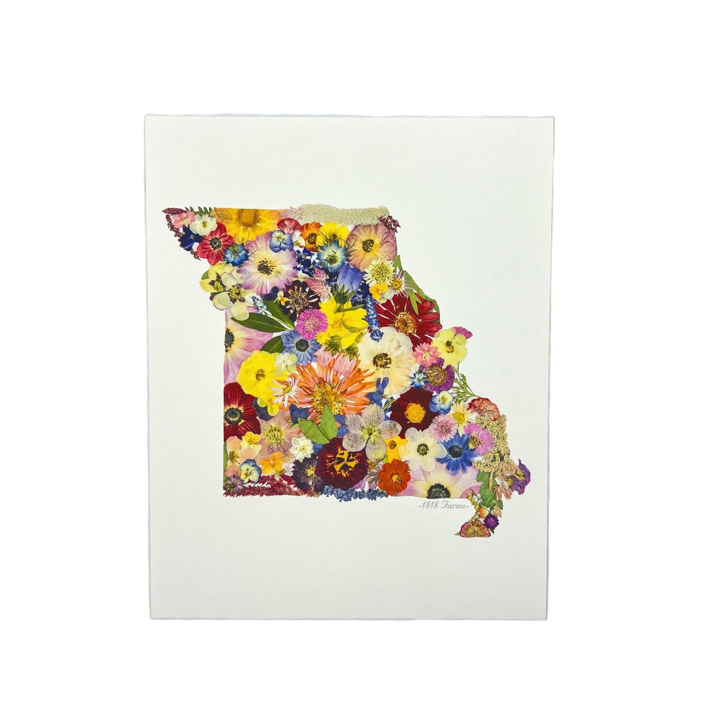 State Themed Giclée Print 8" x "10 - "Where I Bloom" Collection Giclee Art Print 1818 Farms Missouri  