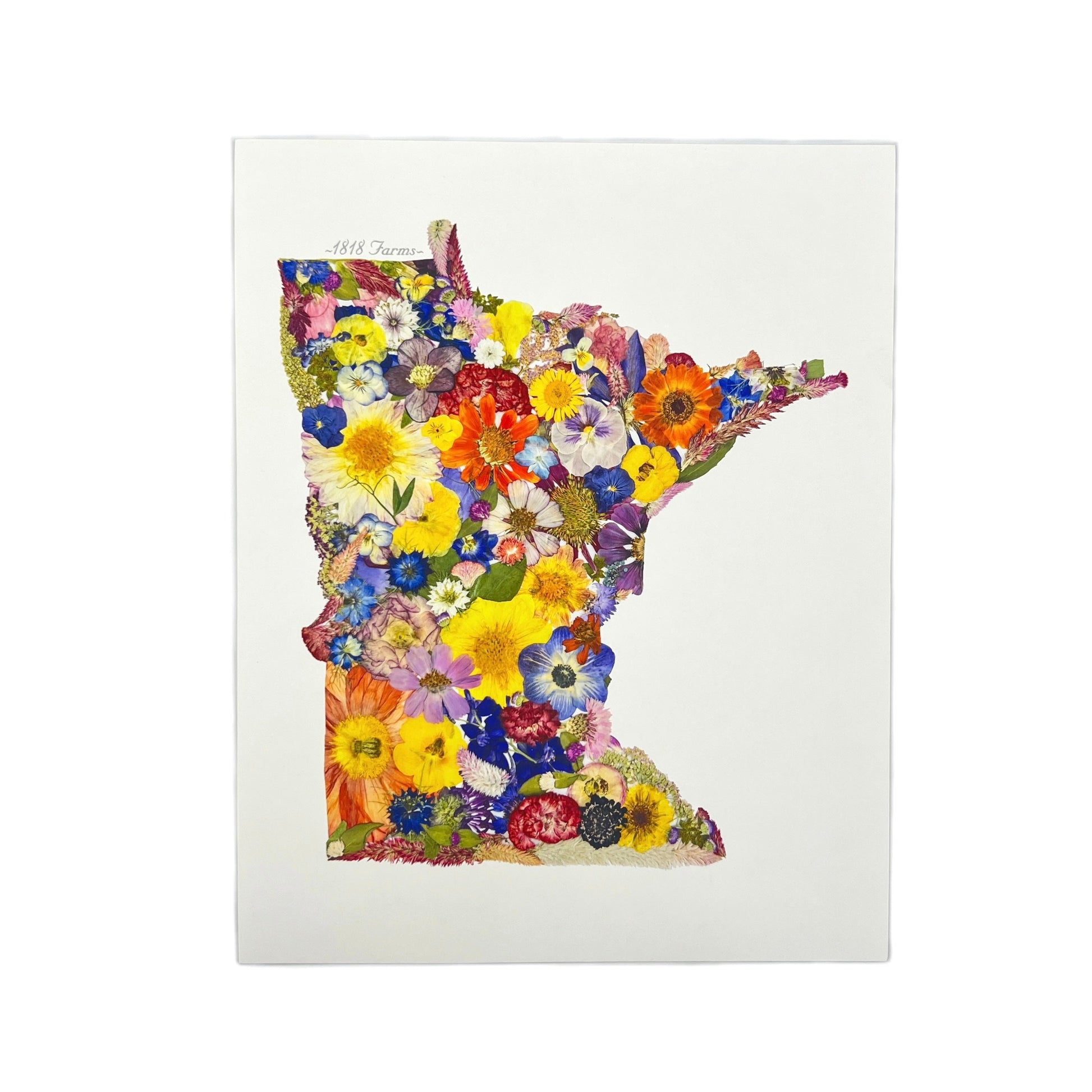 State Themed Giclée Print 8" x "10 - "Where I Bloom" Collection Giclee Art Print 1818 Farms Minnesota  