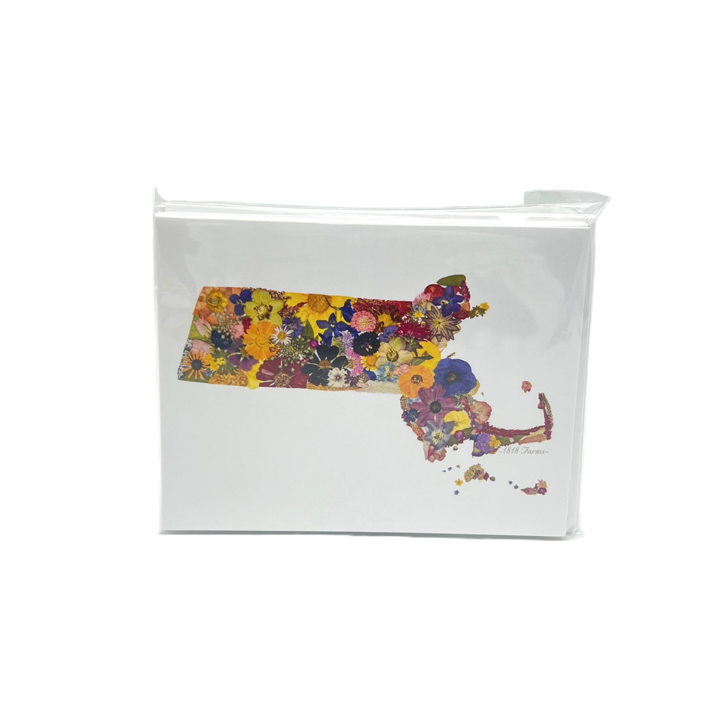 Massachusetts Themed Notecards (Set of 6)  - "Where I Bloom" Collection Notecard 1818 Farms   