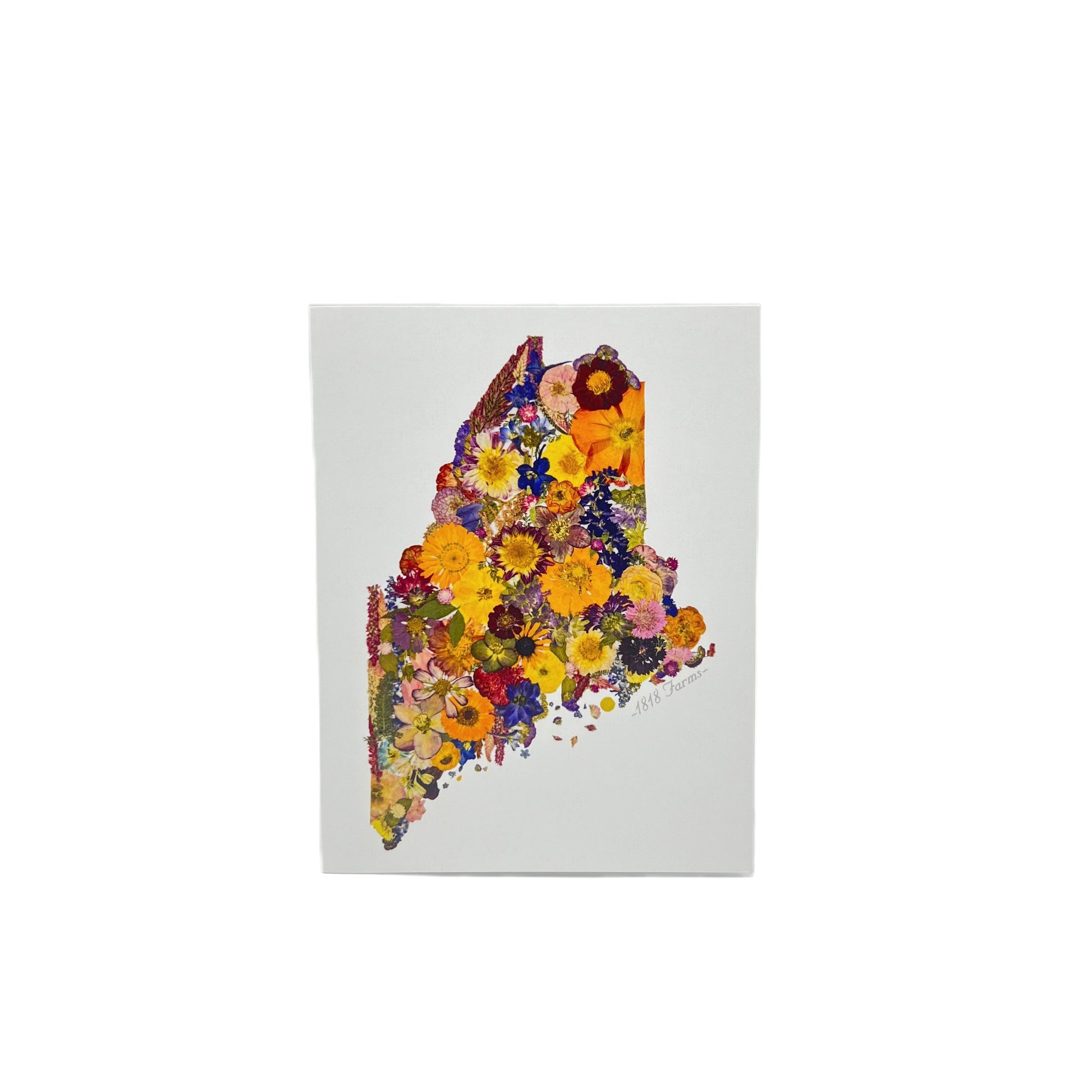 Maine Themed Notecards (Set of 6)  - "Where I Bloom" Collection Notecard 1818 Farms   