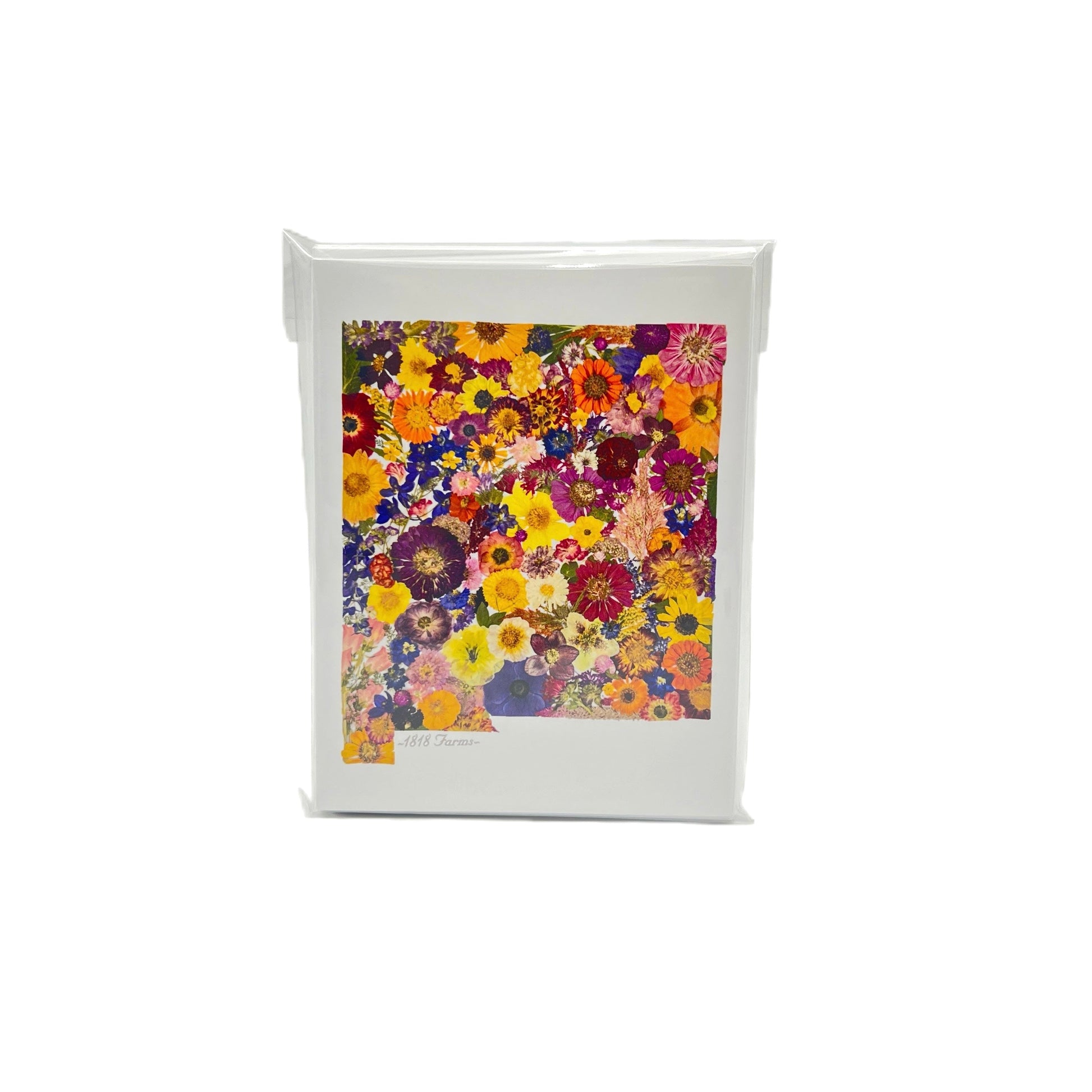 New Mexico Themed Notecards (Set of 6)  - "Where I Bloom" Collection Notecard 1818 Farms   