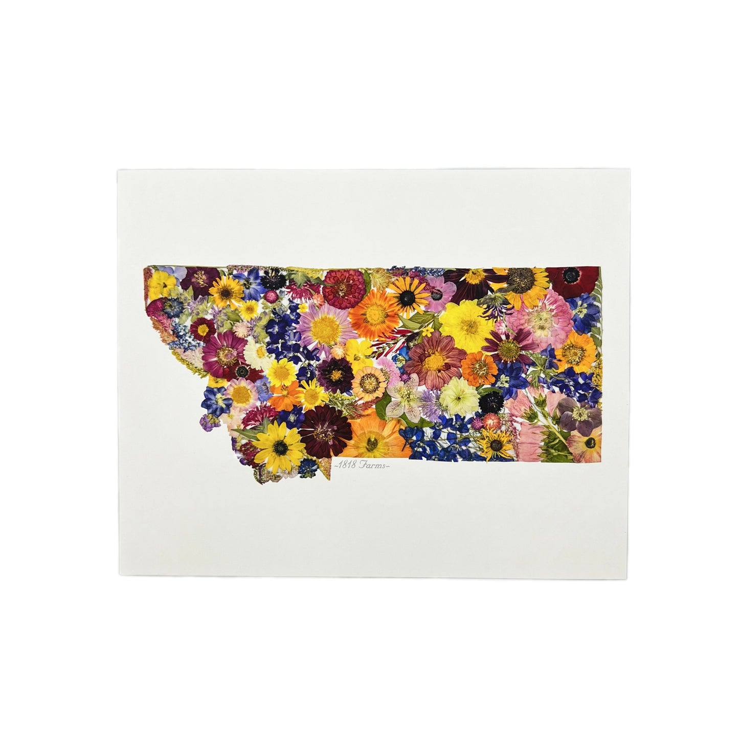 State Themed Giclée Print 11" x "14 - "Where I Bloom" Collection Giclee Art Print 1818 Farms Montana  