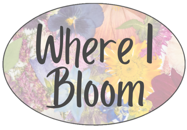 Where I Bloom